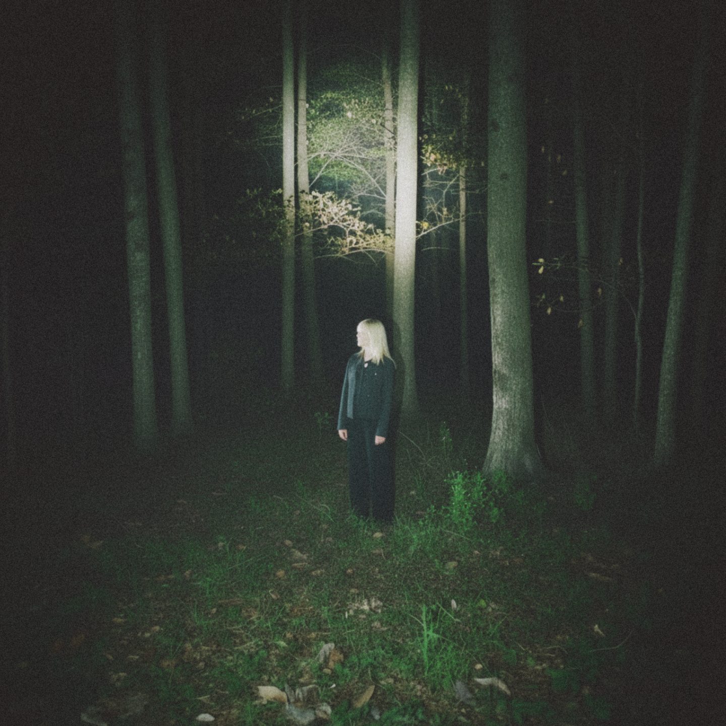 DRAVIDAX - "fall" kit (Drum Kit)