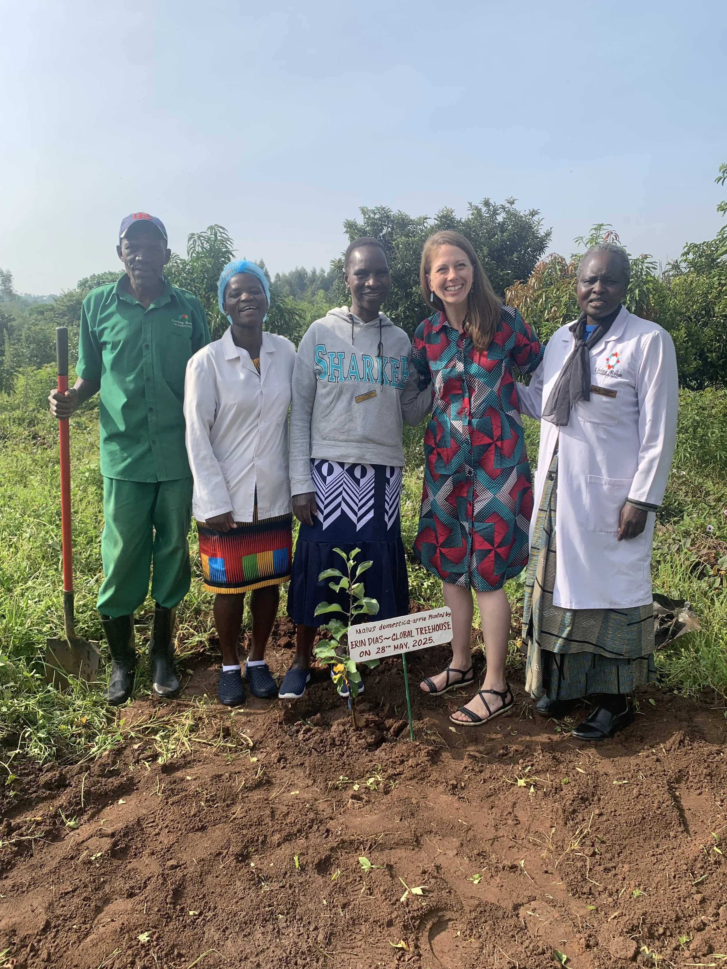 &nbsp;Invitation to Partner with Global Treehouse