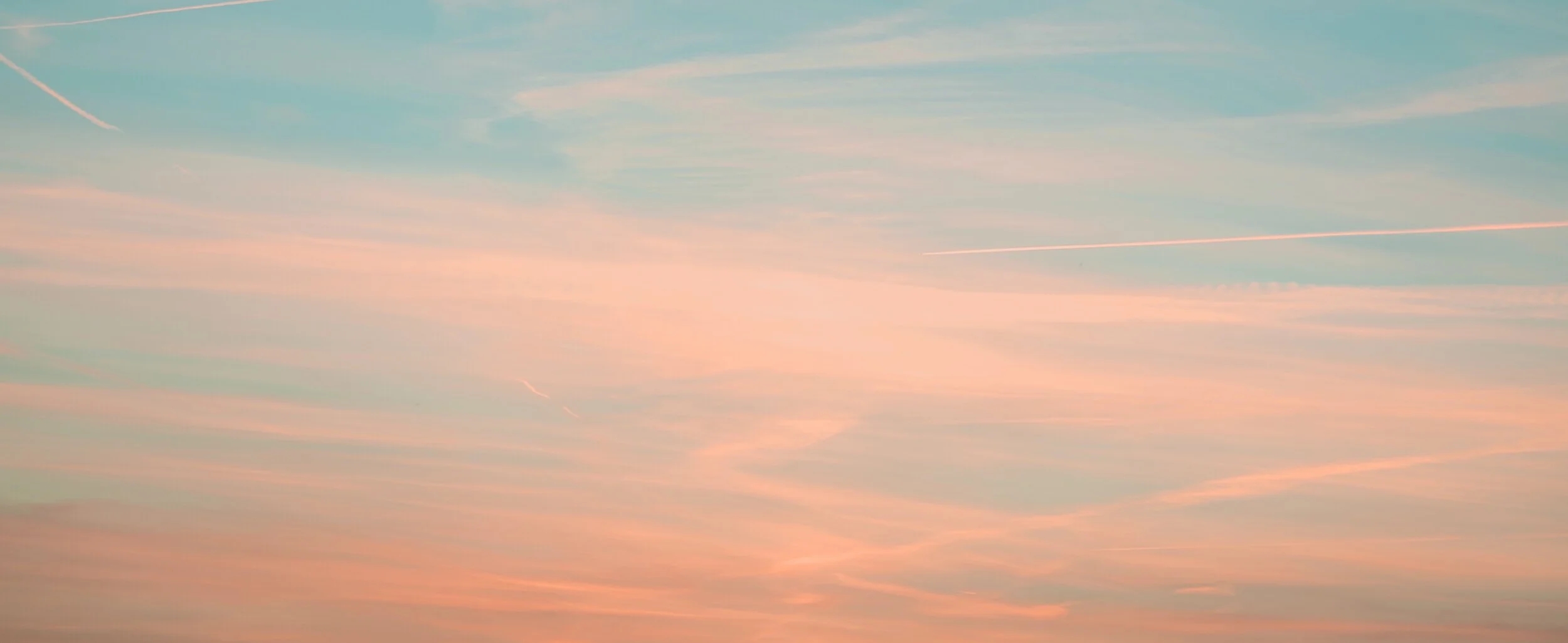 marek-szturc-2s3fI3M1lO0-unsplash copy.jpg