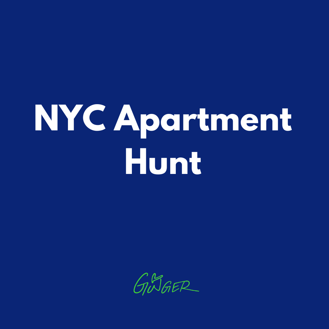 NYC Apartment Hunt