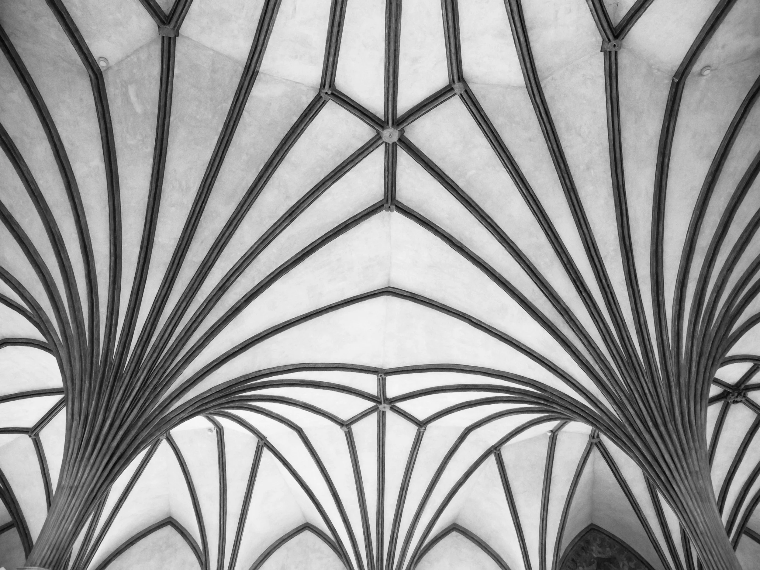 Cathedral-Vaulted-Ceiling.jpg