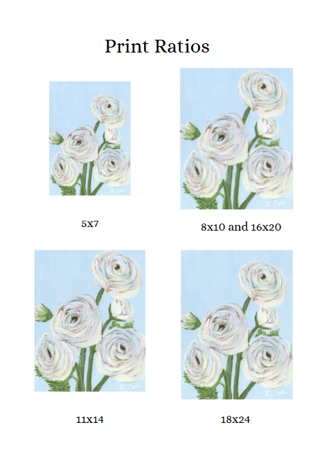 Print Ratios - Ranunclus.png