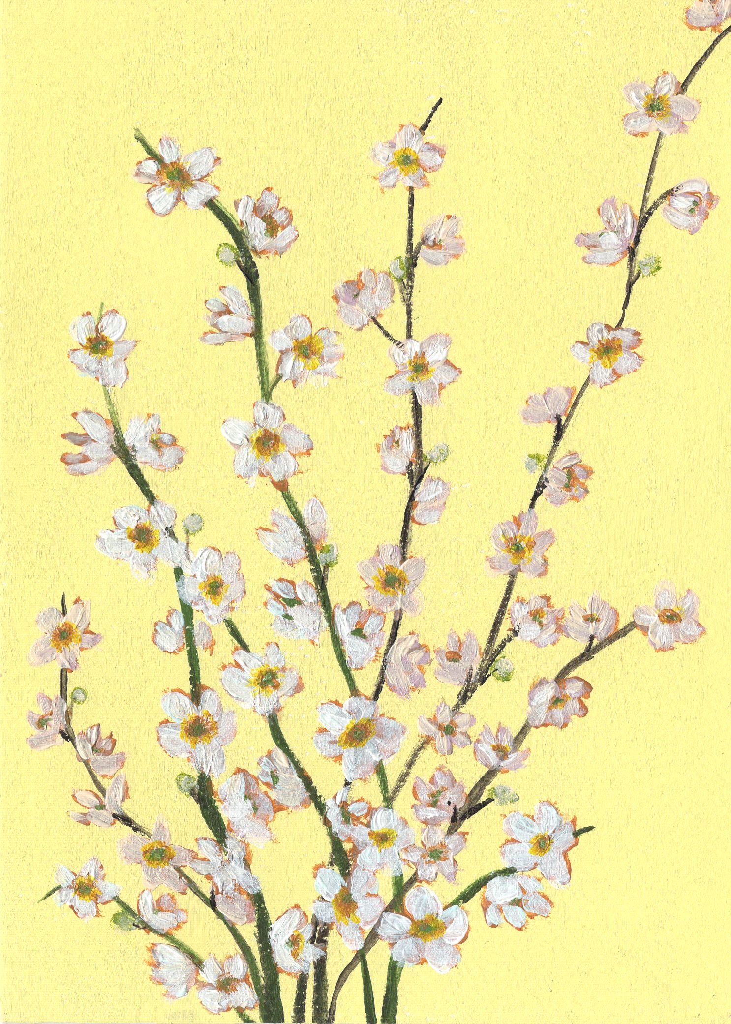 IMG036 cropped.jpg