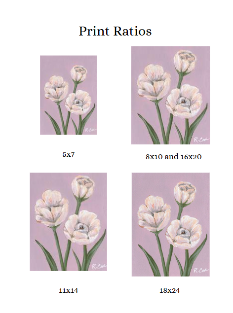 Print Ratios - Tulips.png