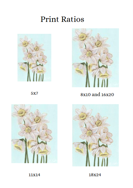 Print Ratios - Daffodils.png