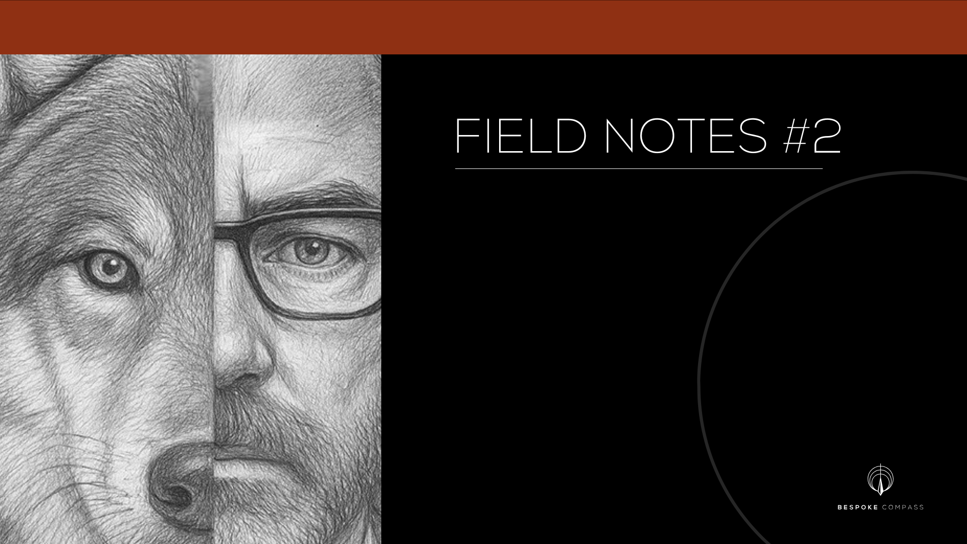 Field Notes #2