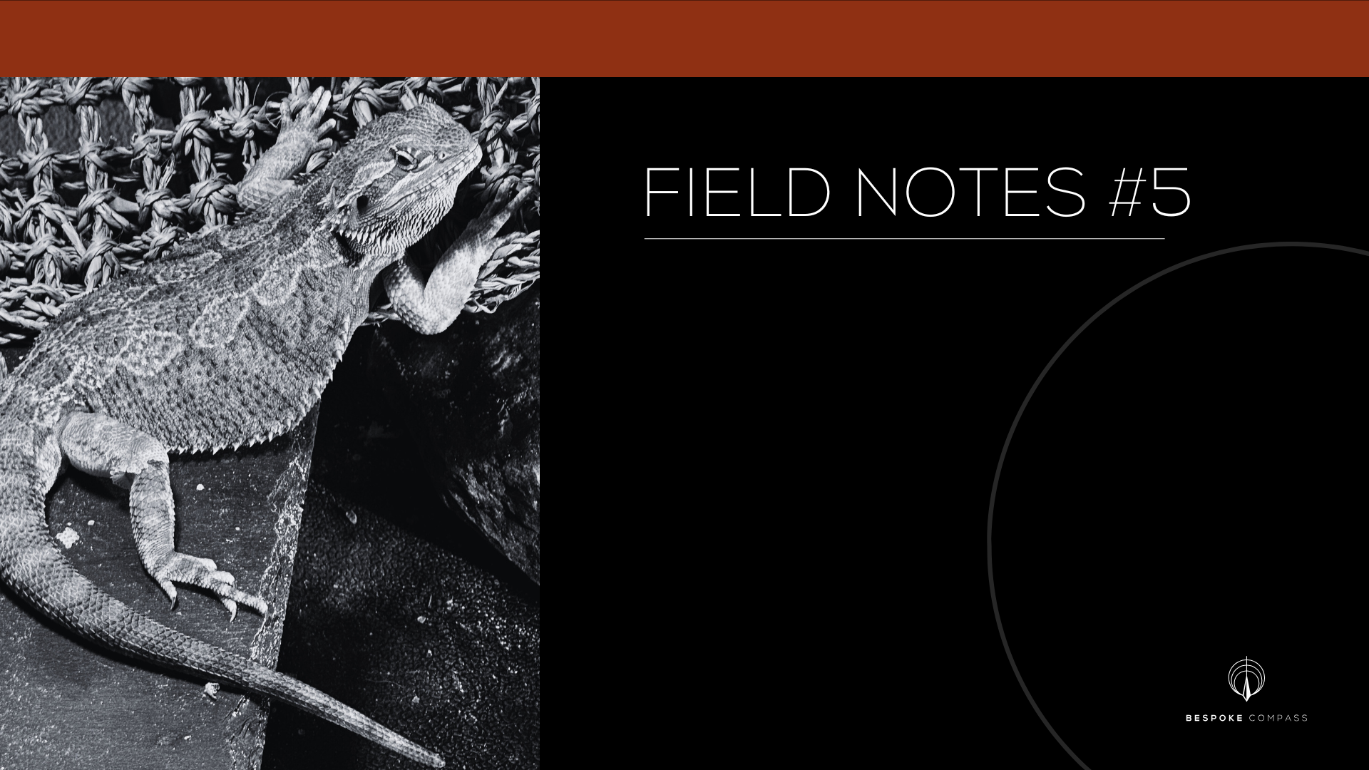 Field Notes #5