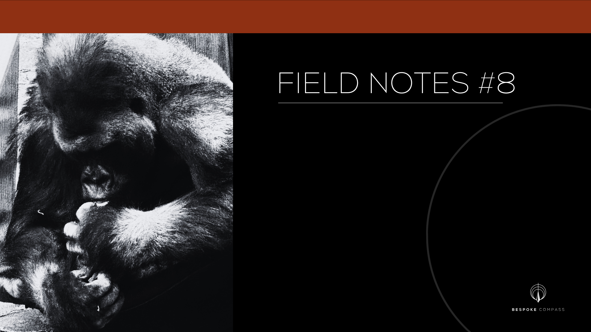 Field Notes #8
