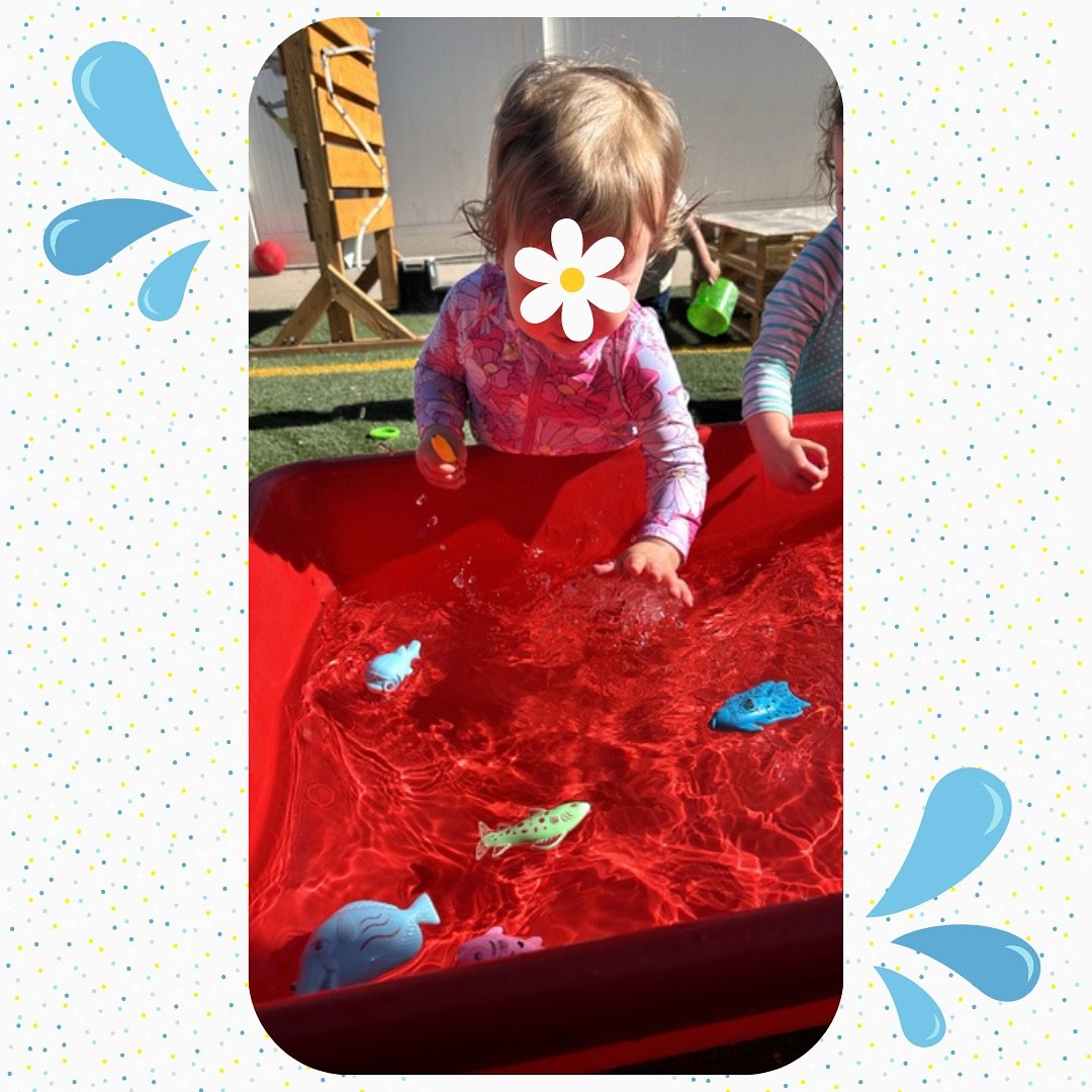 ☀️ When the weather heats up, we cool down with splash bucket fun! 💦

#utahpreschool #utahdaycare #thewonderschoolhouse #sandy #earlychildhoodeducation #preschoolactivities