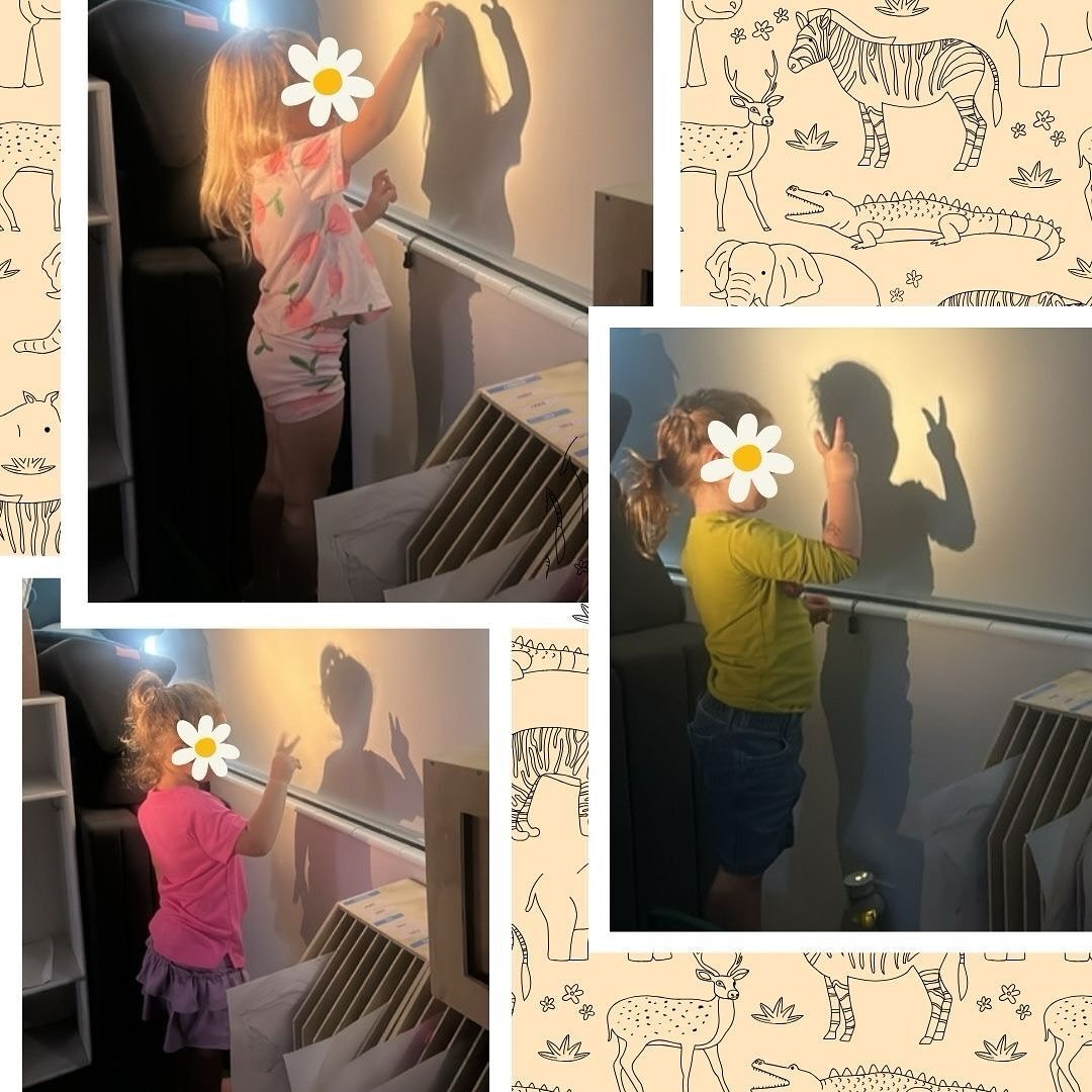 Shadows come to life when little imaginations take over! 🐶🐱 Our preschoolers had a blast creating shadow animals!

#utahpreschool #utahdaycare #thewonderschoolhouse #sandy #earlychildhoodeducation #preschoolactivities