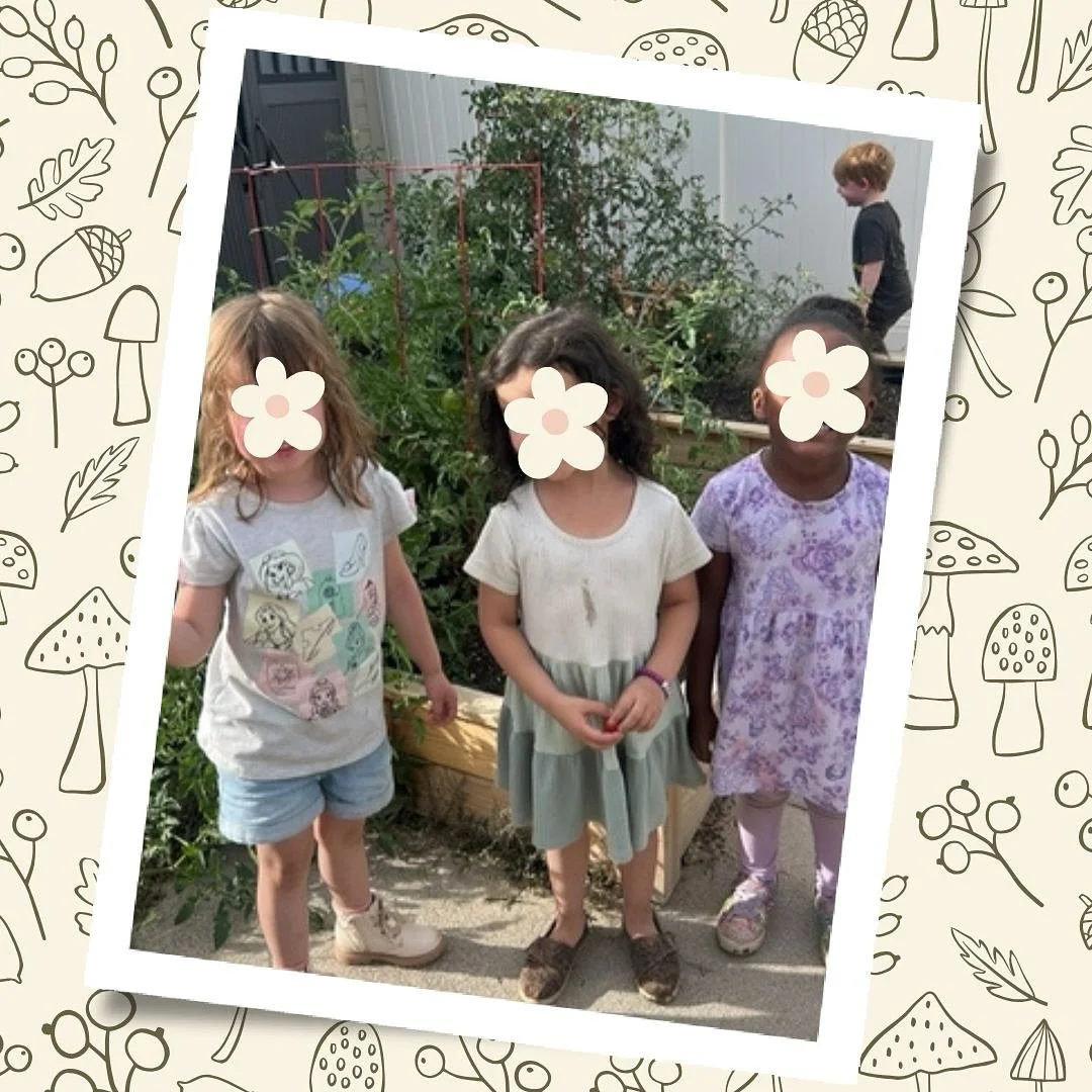 Our little farmers proudly picked juicy tomatoes from the garden this morning. 🌱🍅 Such a simple moment, but full of joy.

#utahpreschool #utahdaycare #thewonderschoolhouse #sandy #earlychildhoodeducation #preschoolactivities