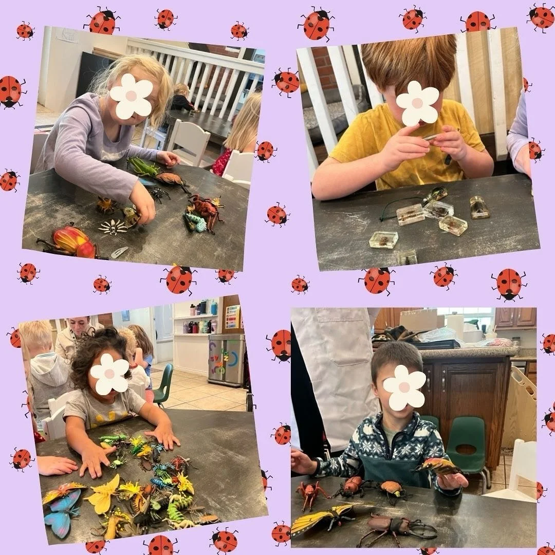 Bugs, bugs, everywhere! 🐞🦋🐛 Our little friends had so much fun learning about the tiny critters! 🌿💛

#utahpreschool #utahdaycare #thewonderschoolhouse #sandy #earlychildhoodeducation #preschoolactivities