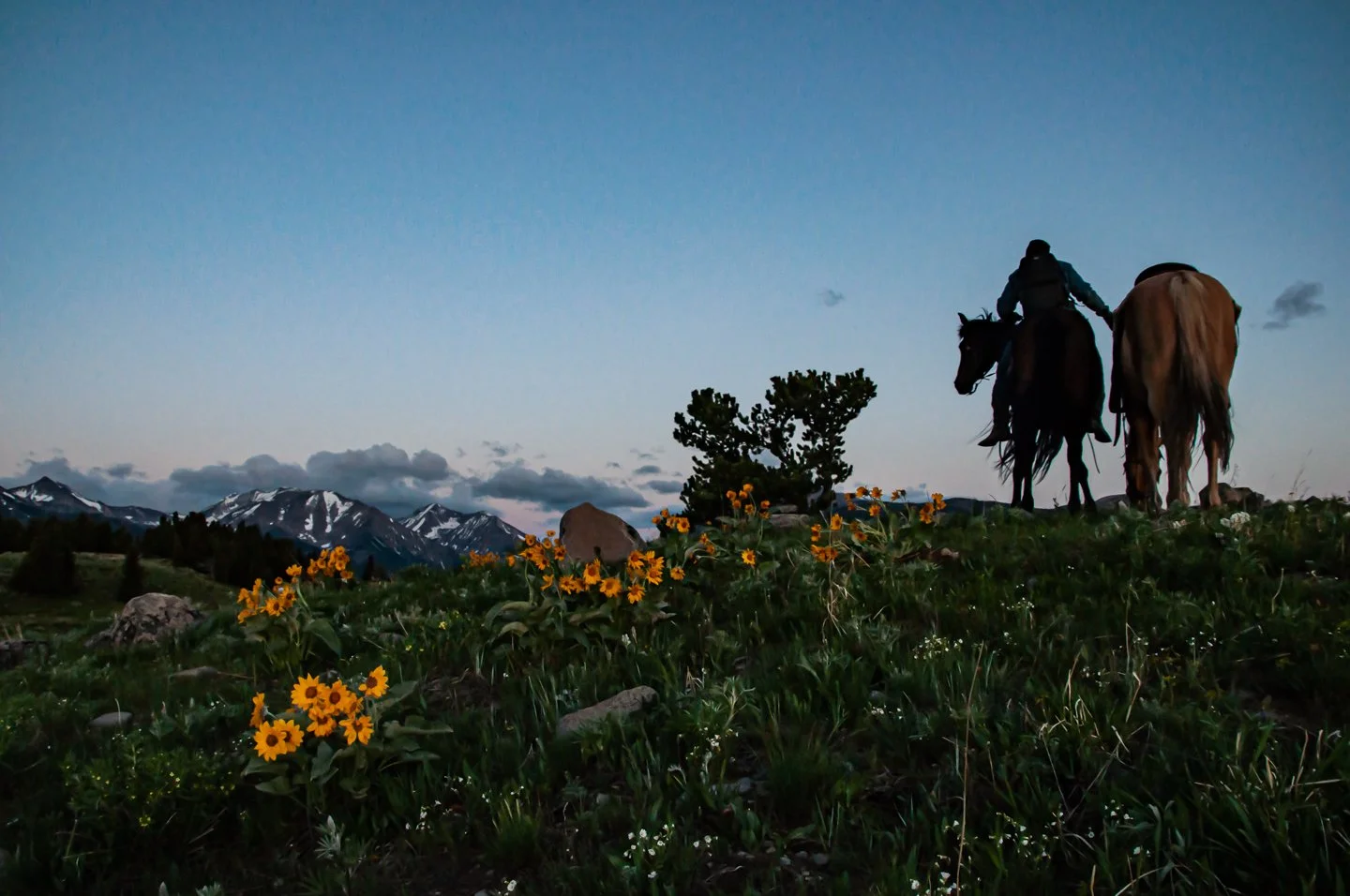Wrangler on the Ridge (1 of 1).jpg