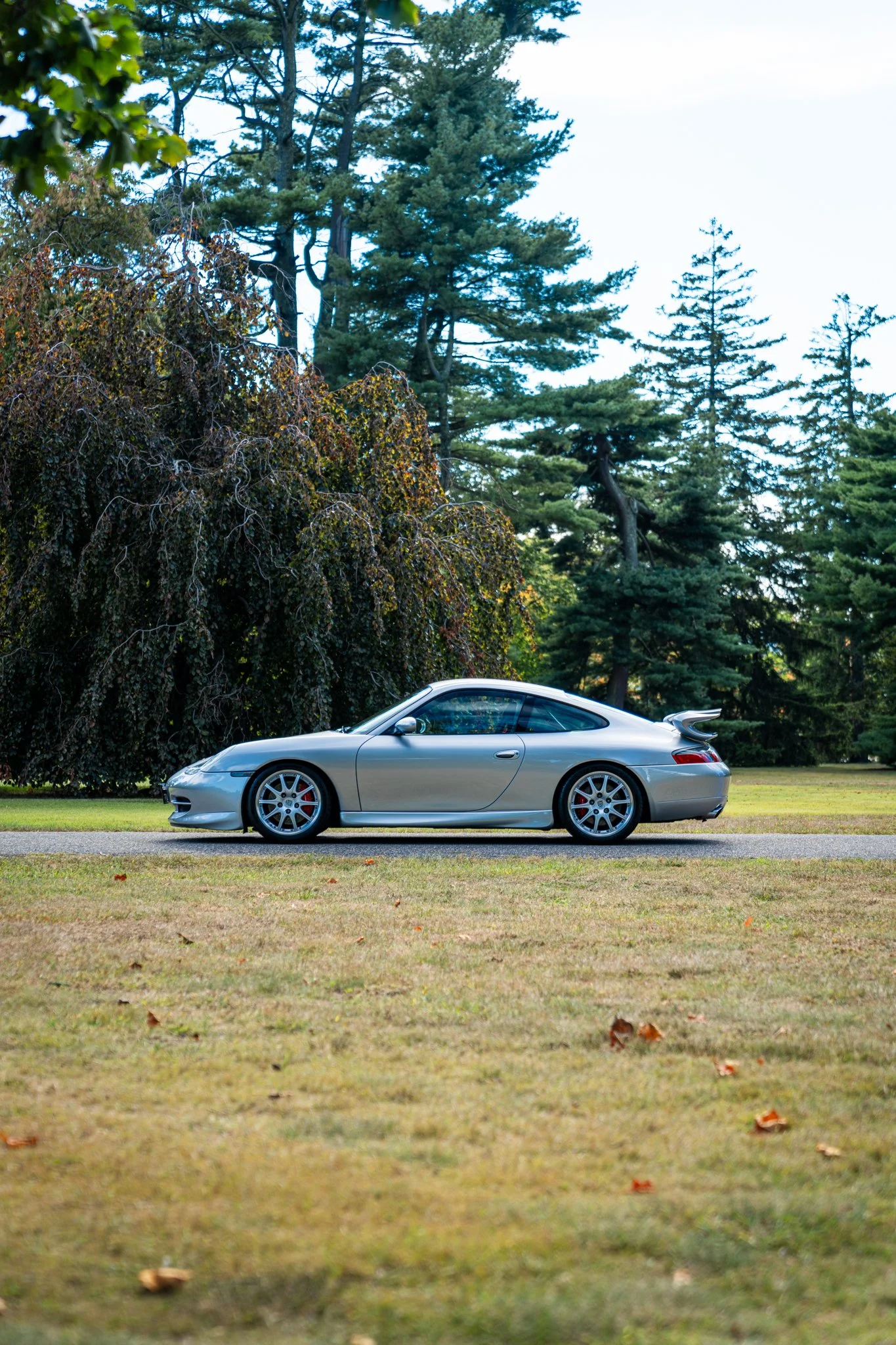 1999 911 GT3 CS - Silver-26.jpg