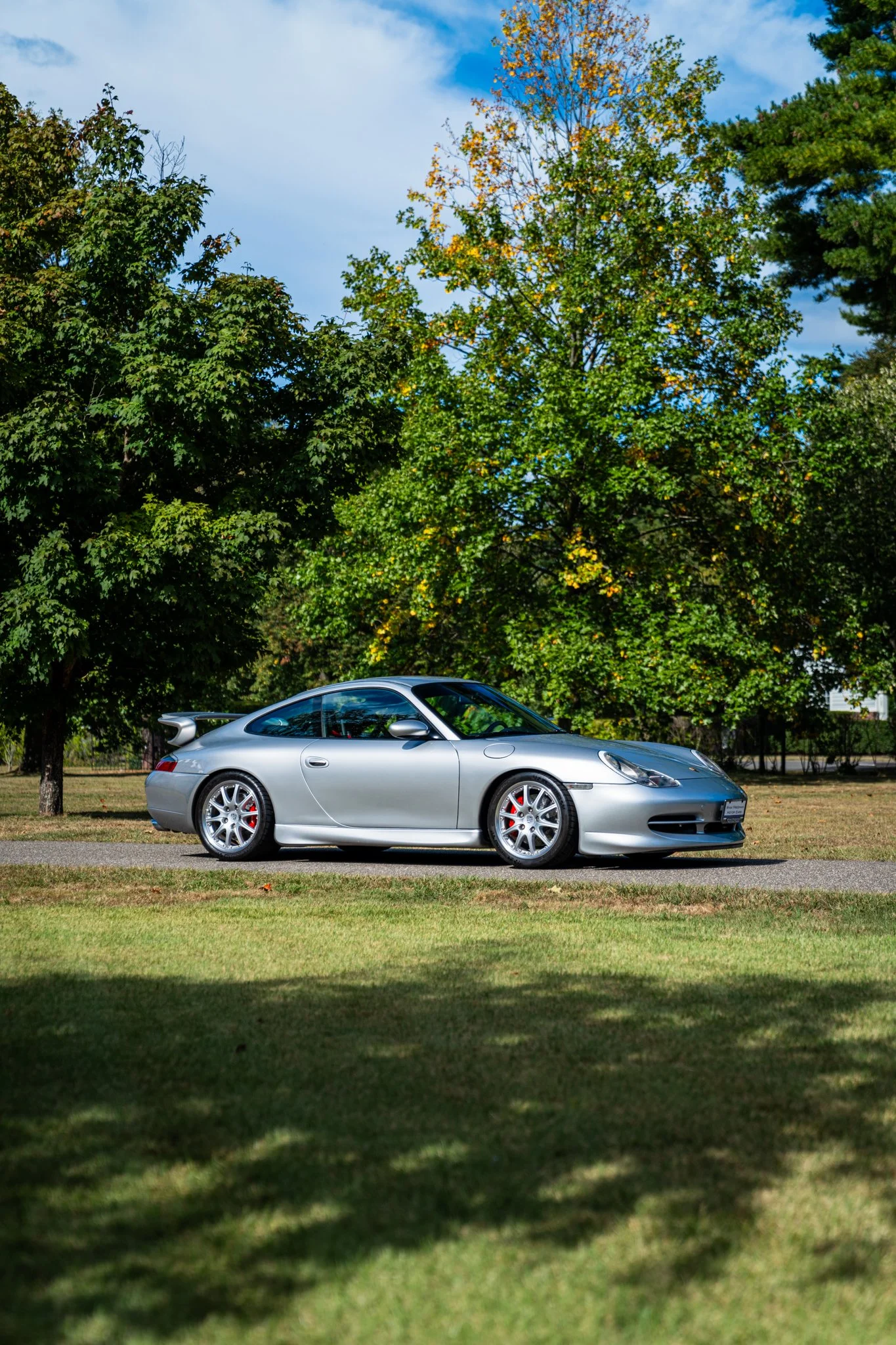 1999 911 GT3 CS - Silver-04.jpg