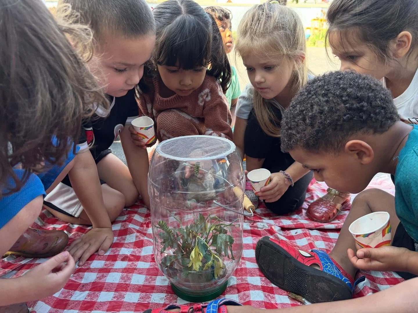 Garden magic at Columbia CAP this past week! Students used their senses to taste, feel, and smell watermelon and learned where it grows in the garden! Students took turns squishing some cubes in a bag to see the amount of water that comes out of wate