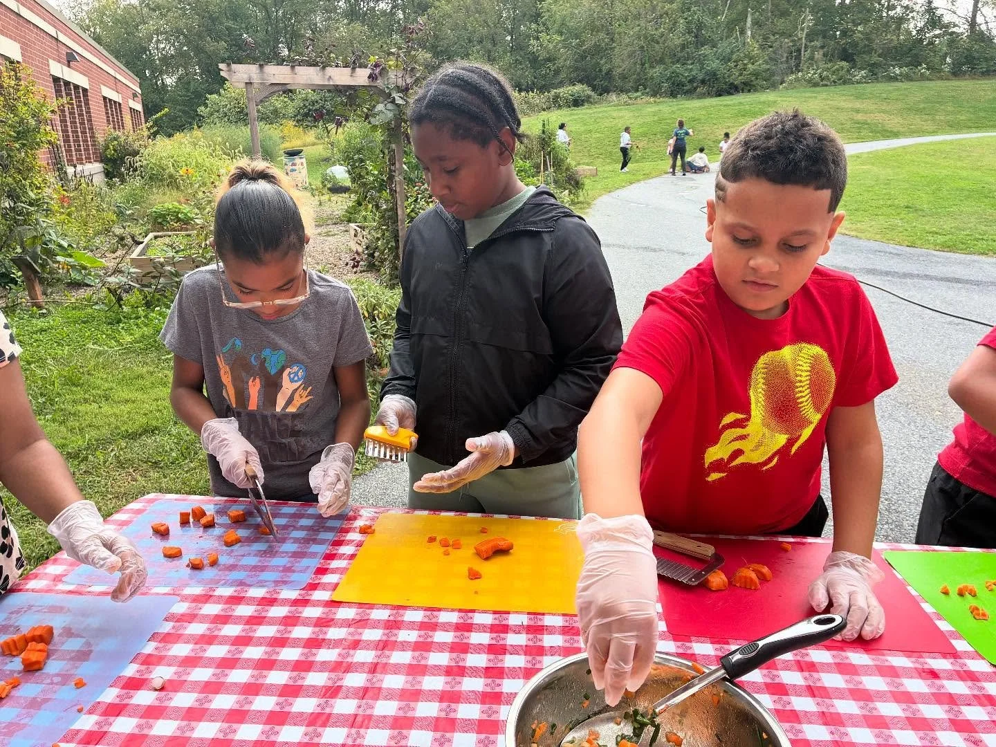 Thank you @sdol_martin elementary students for your teamwork in the garden today! Students harvested about 15lbs of carrots from the garden and were able to take carrots home to share with their families. Students also prepared a fresh carrot and chi
