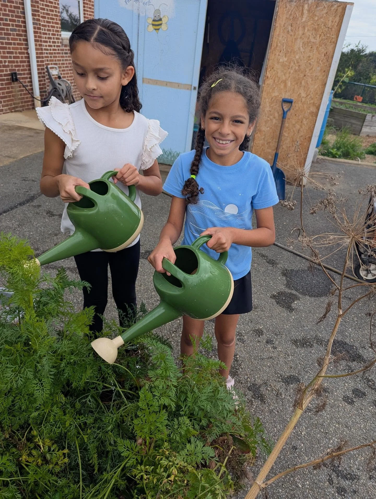 During a lesson at Central Manor on what seeds need to grow, we explored a global map of dry climates and talked about the importance of water.

One student proudly shared that her mom is from Egypt, a country known for its dry climate. Another told 