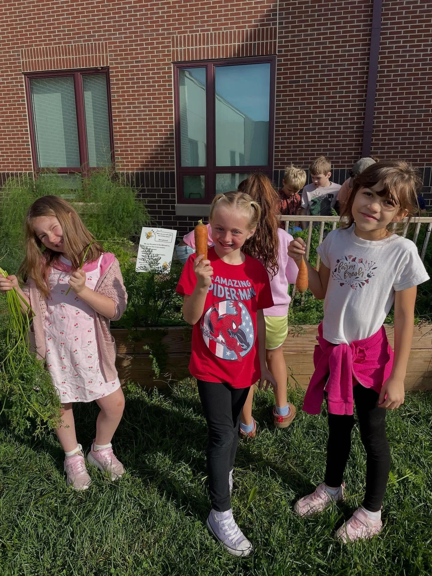 Today at Smith-Wade-El elementary, students harvested and took home 15lbs of carrots to share with their families! Students also learned that black swallowtail butterflies like to lay their eggs on carrot tops. Students also enjoyed a carrot and chic