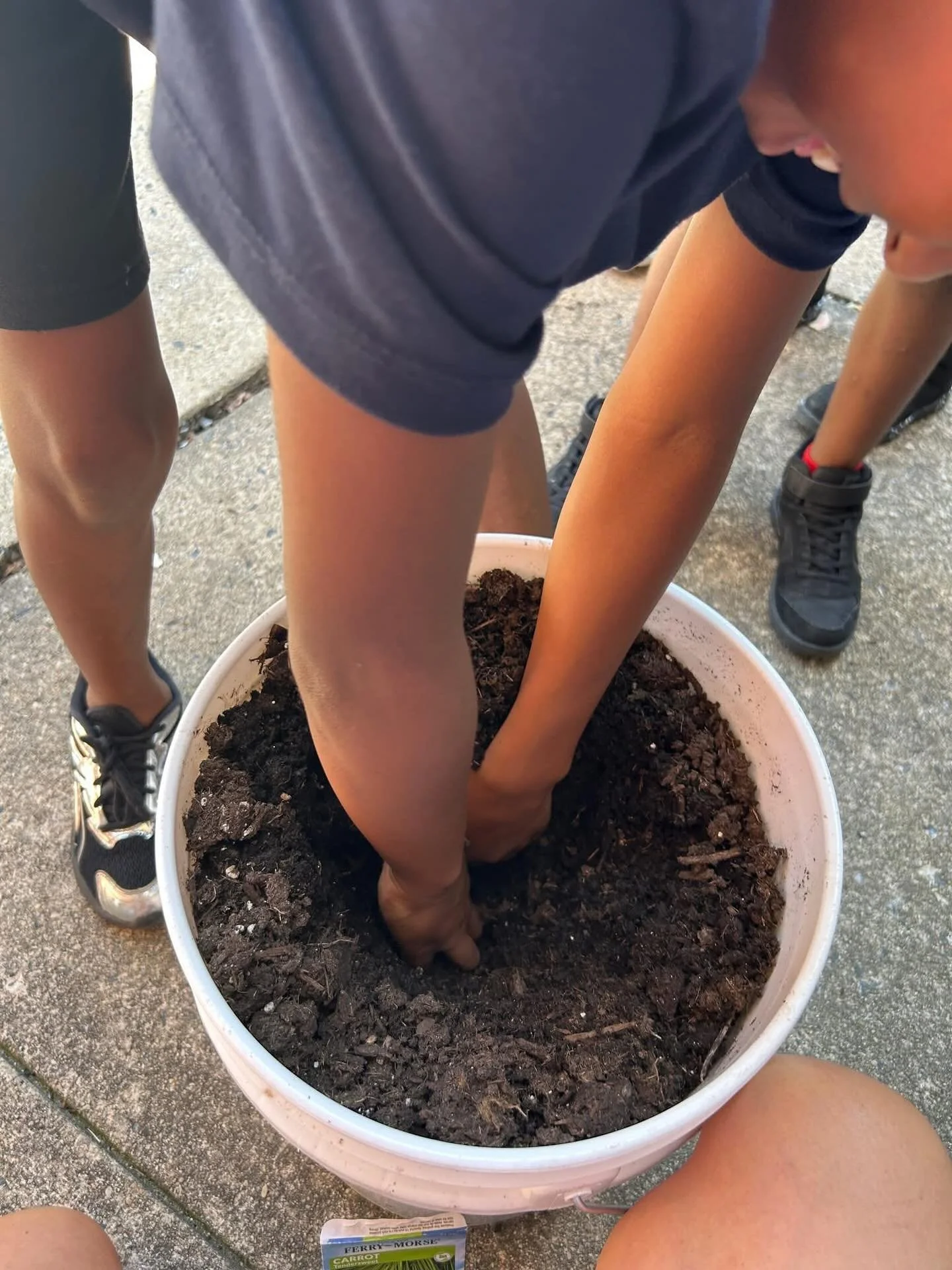 Bucket Garden Updates: 

🌡Did you know that the soil temperature is an important metric to measure to ensure seed germination?  We learned &ldquo;seeds have needs&rdquo; just like us! 

🥒We are also happy to report we are now harvesting cucumbers f