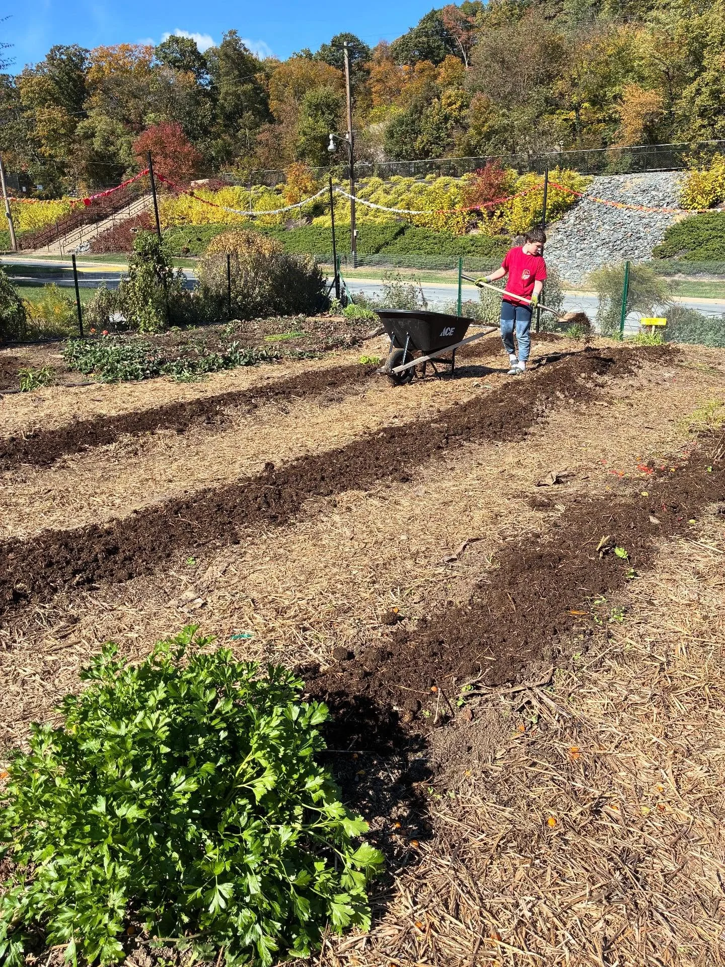 Huge thanks to our amazing volunteers who braved a chilly, but sunny morning to move our garden projects forward! 💪💚

🌱 Smith Wade-El Elementary&ndash; New storage solution assembled, smaller storage refreshed and raised beds prepped for winter.
?