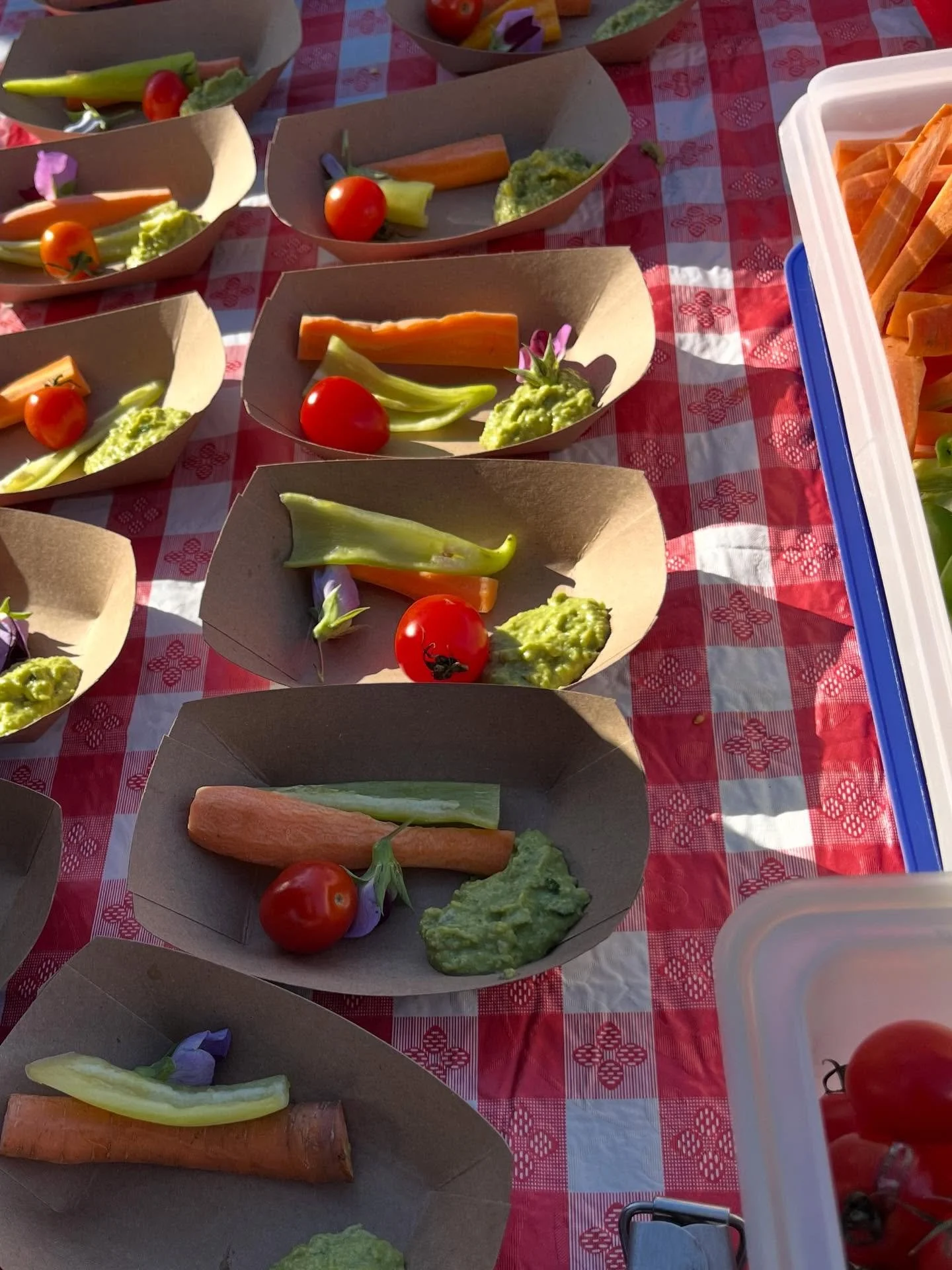 A rainbow of veggies and even an edible flower? Yes, please! Students at Hambright Elementary have been busy tasting their harvest as their garden keeps on giving!

They recently harvested teff, a drought-tolerant grain native to Ethiopia. After stom