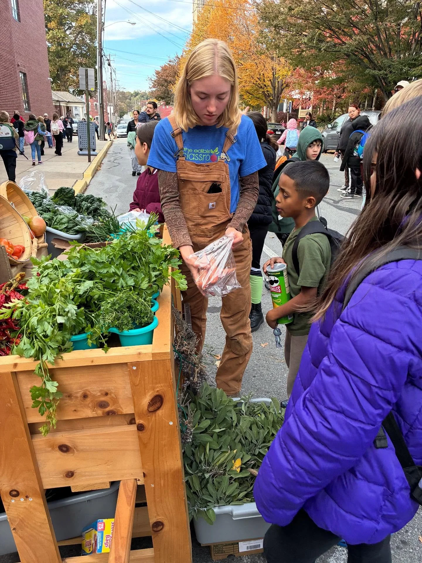 Last week we had the pleasure of sharing Park Elementary School&rsquo;s garden produce with students and families at the end of the school day! There were herbs, tomatoes, sweet potatoes, and an Asian green called Chijimisai. We love seeing these vib