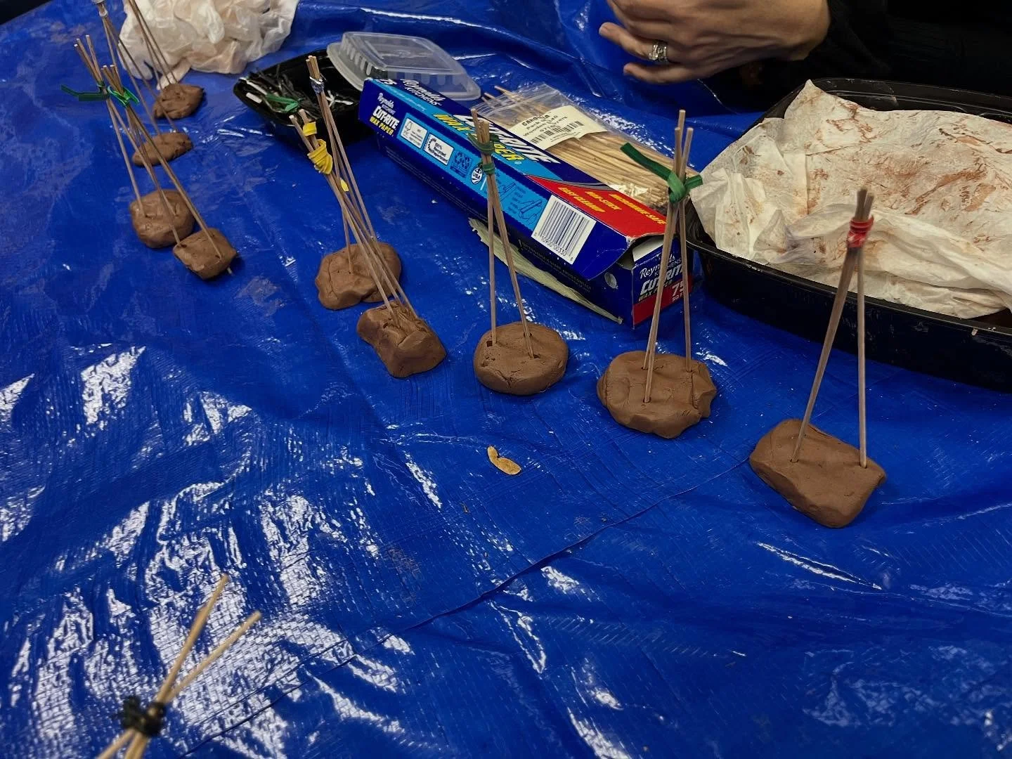 Rain couldn&rsquo;t stop our IU13 gardeners last week! 🌧️
We took our lesson indoors and explored global gardening techniques including the Three Sisters technique of planting corn, beans, and squash together. Students collected seeds, dreamed up id
