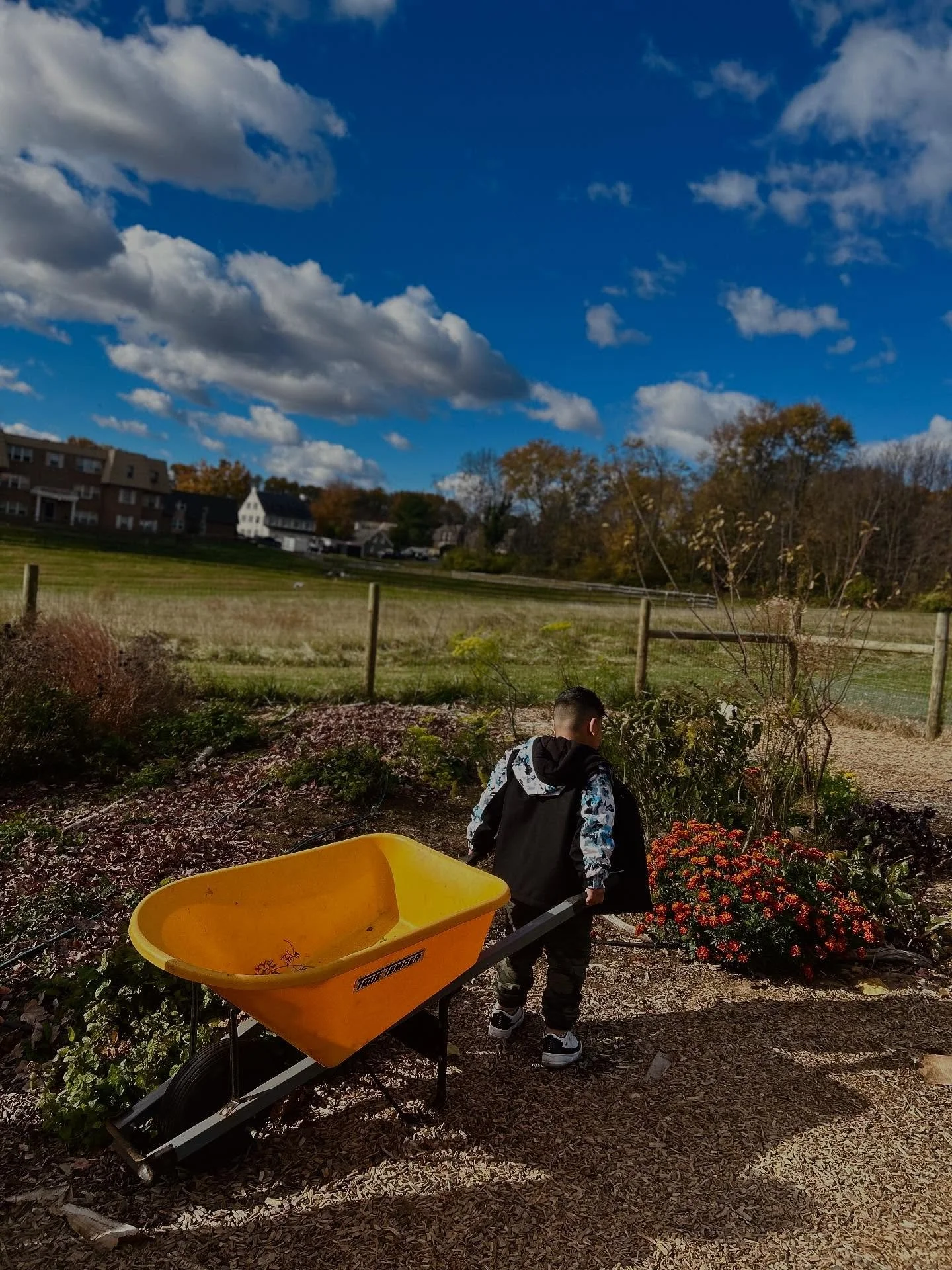Closing down the garden for the season at @hamiltonsdol ! 🌱🫜🪏👩🏻&zwj;🌾
.
.
.
@sdolancaster 
@hamiltonsdol 
.
.
#schoolgarden, #schooldistrictoflancaster , #endofseason, #teachingarden, #gardeneducation, #edibleclassroom, #communitygarden