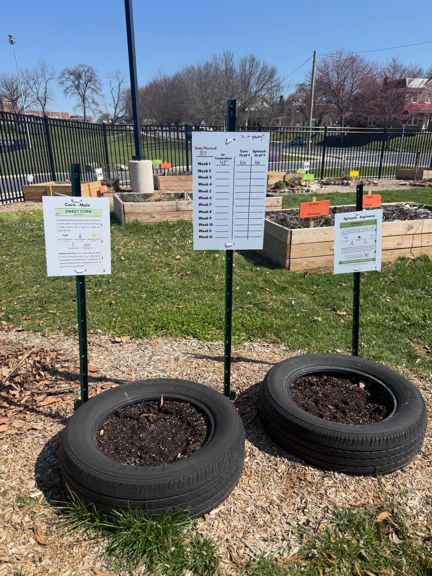 Spring lessons in school gardens are off to a fantastic start! 🌱 This year, we&rsquo;re diving into our new theme: Honoring Origins: Culture, Crops, and Climate.

Last year, students explored climate through the lens of water, learning about plant n