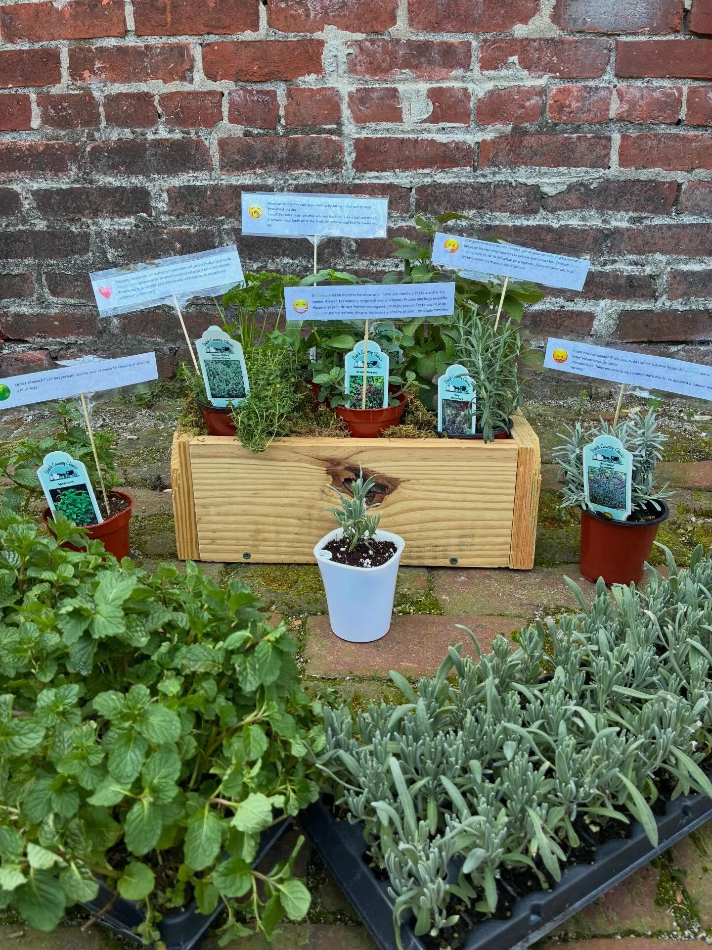 🌿TONIGHT! Come experience the healing power of plants and catch a baseball game! ⚾️

Join us this evening at STEM in the Ballpark at @pennmedicinepark and pot up your very own herb to take home in a special self-watering planter. 🌱

A big thank you