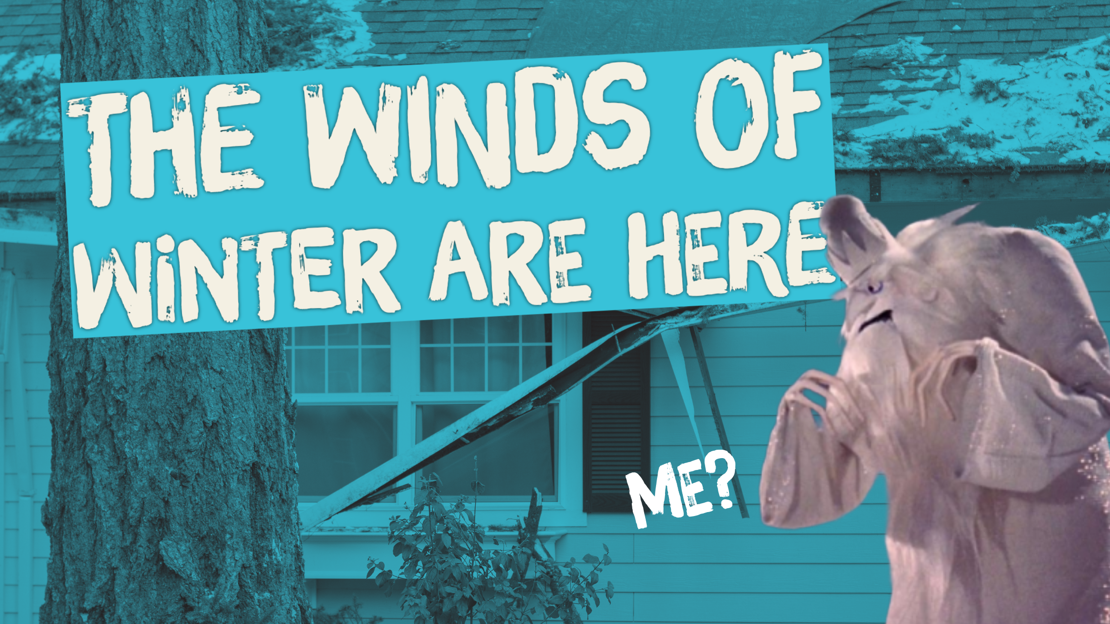 Wind Damage in Colorado &amp; Wyoming: The Most Common Causes, Risks, and What Property Owners Should Know