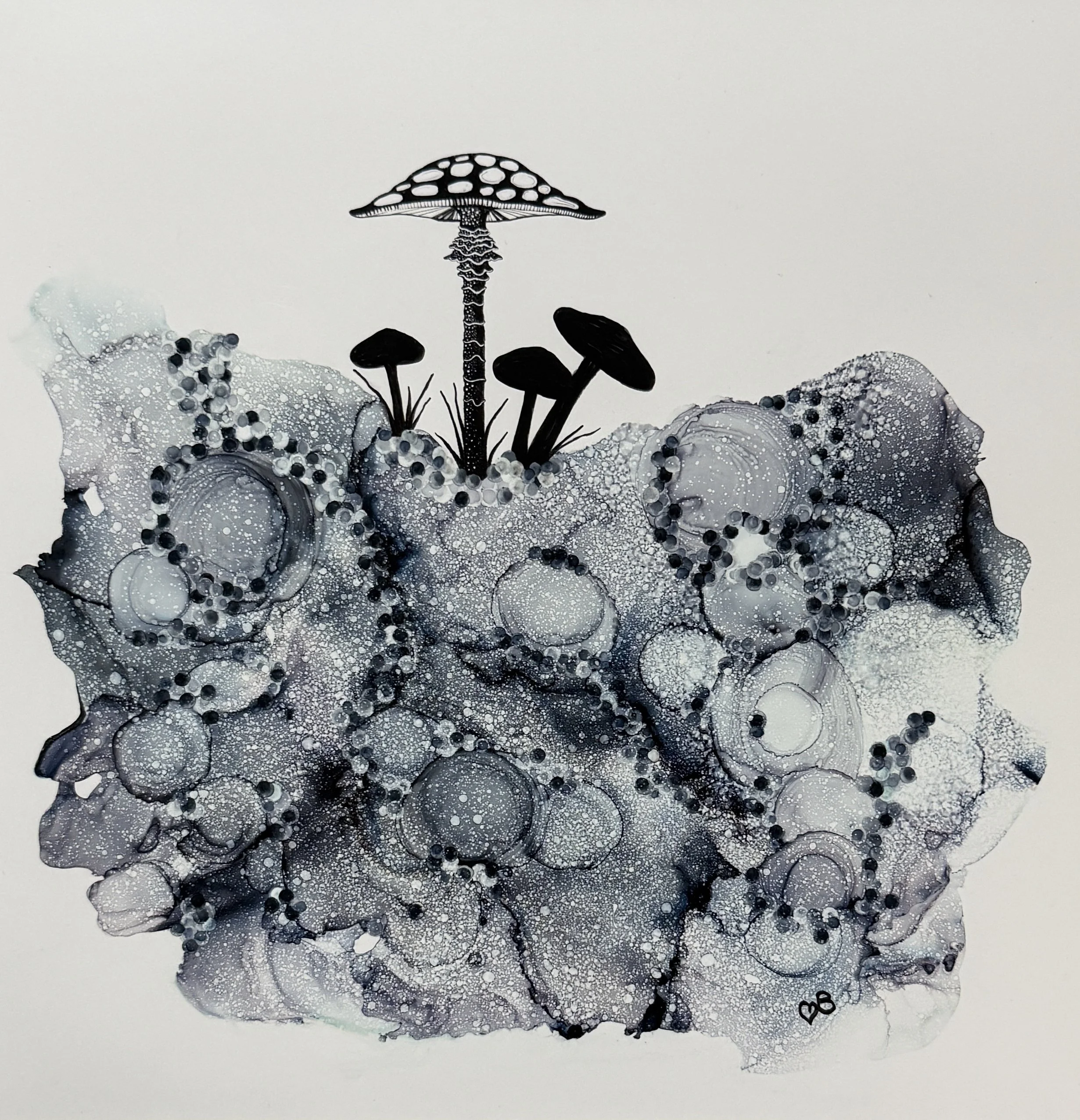 2D02915E-611E-4AB9-A931-30B49CD5DFE3_1_201_a.jpeg