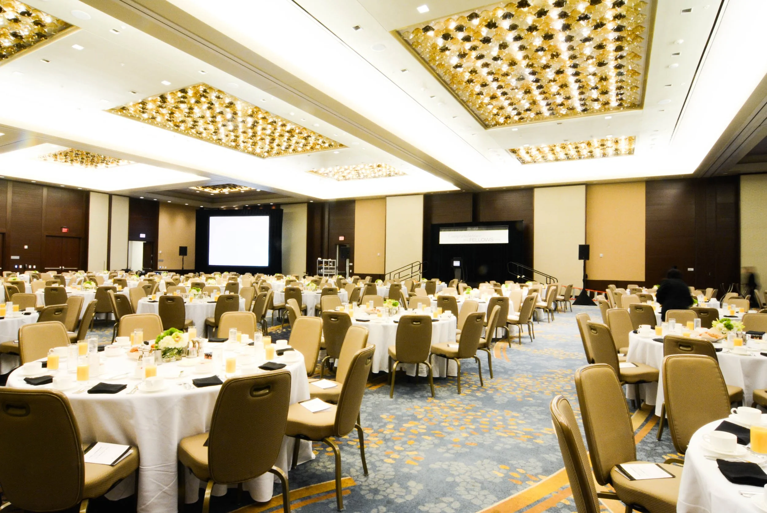 AAFP-1.jpg