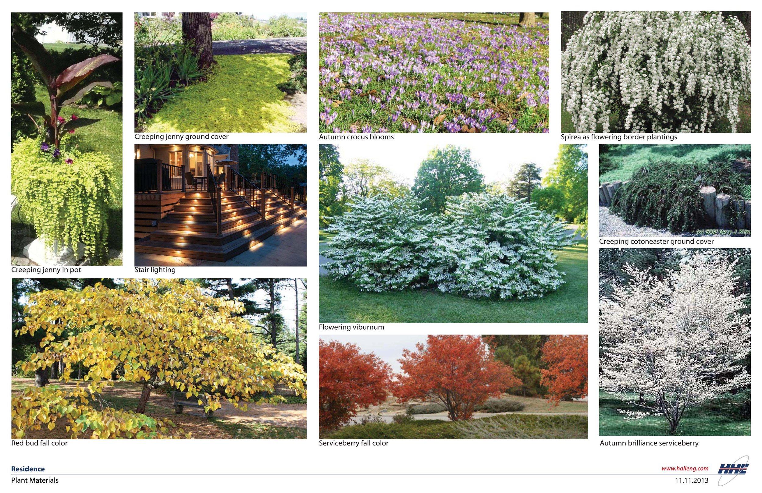 Plant Materials002.jpg