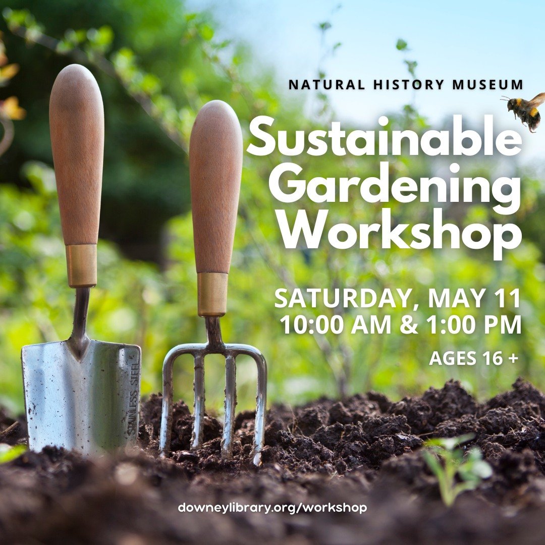 Lets grow some vegetables! In collaboration with the Natural History Museum, we will be hosting a sustainable gardening workshop at the library. Learn about the different types of containers used for growing vegetables, the best soil mediums, drainag