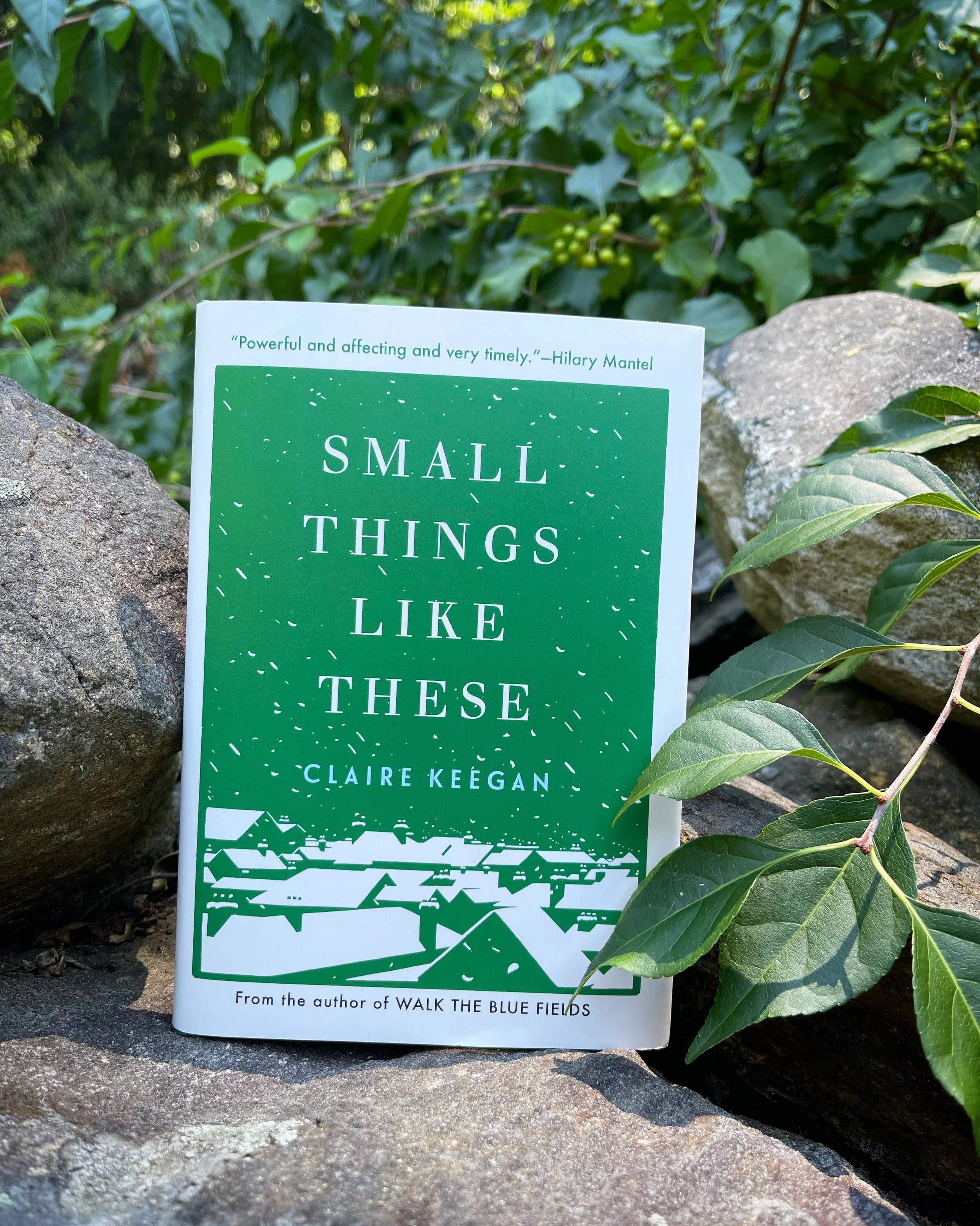Book Lover’s Club: Small things like these
