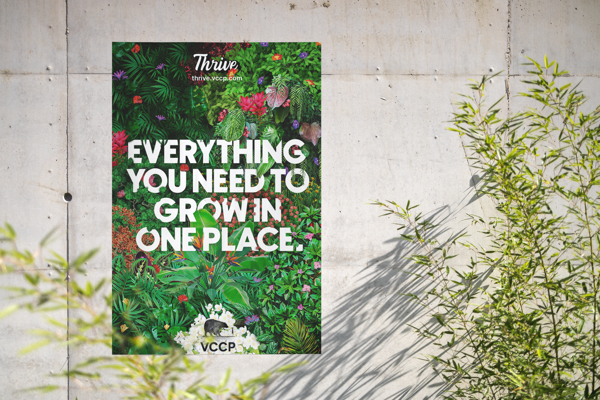 Thrive-Mockup01.png