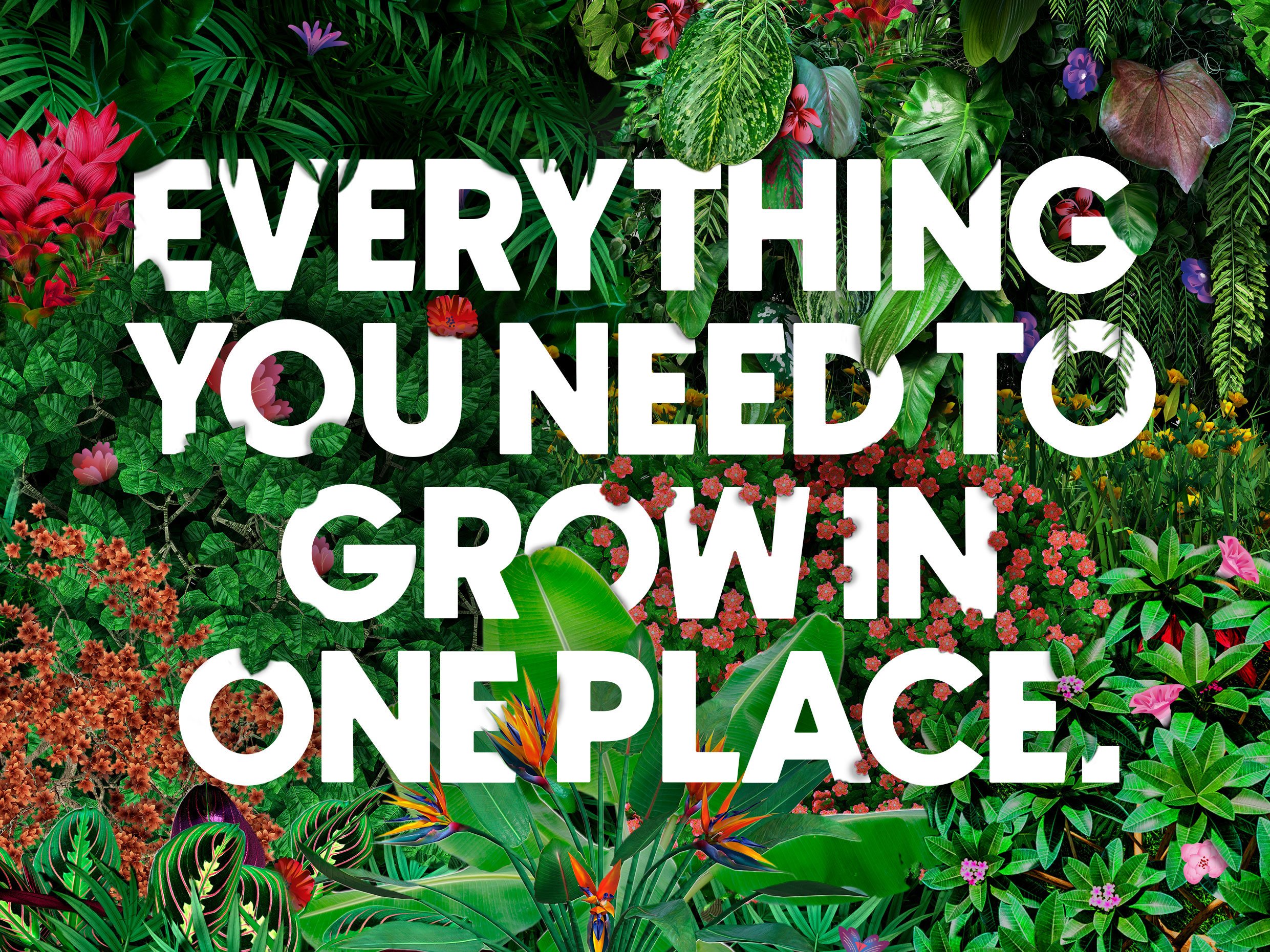 ThrivePoster-Detail.jpg