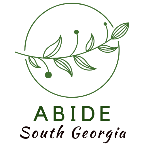 Abide | South Georgia