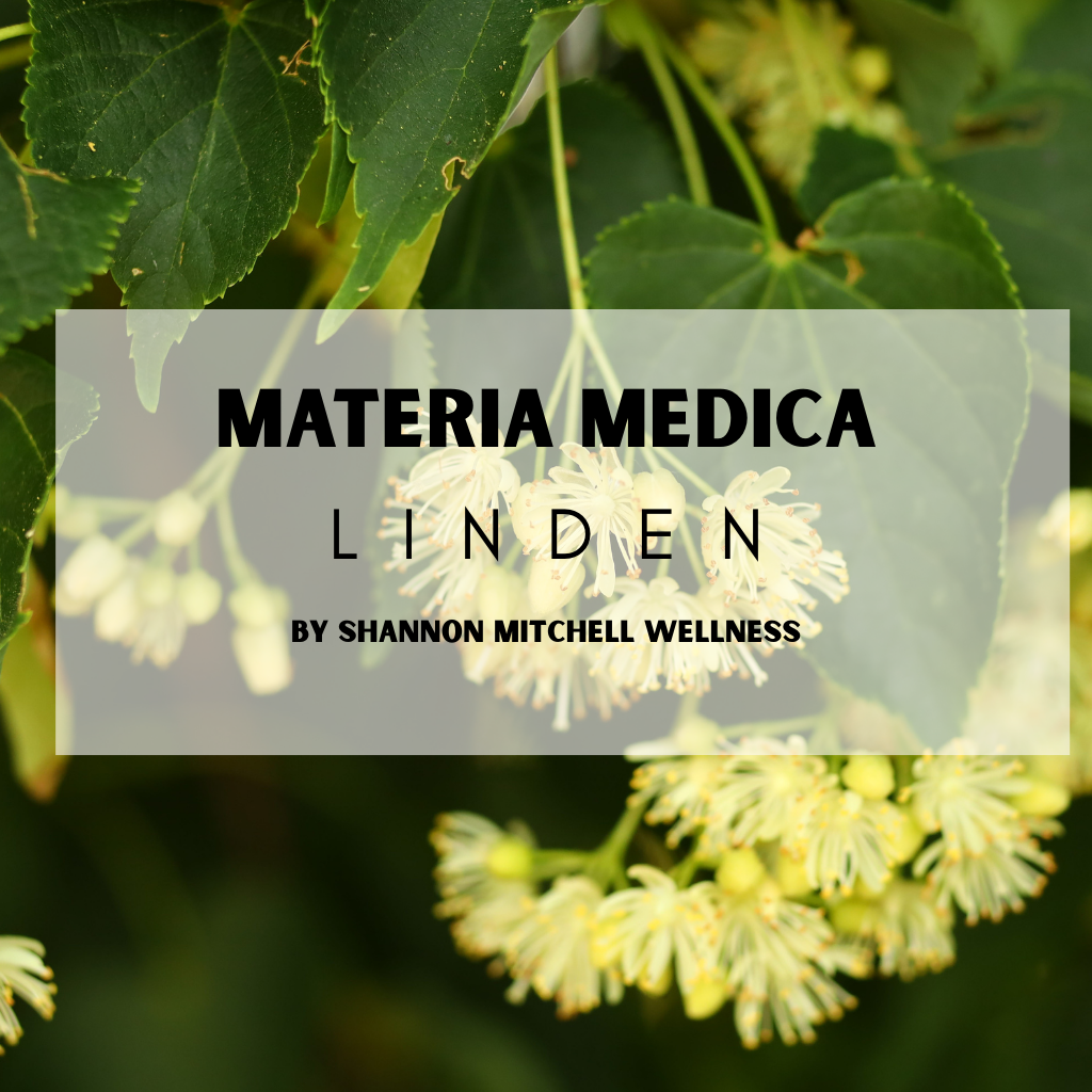 Linden plant profile