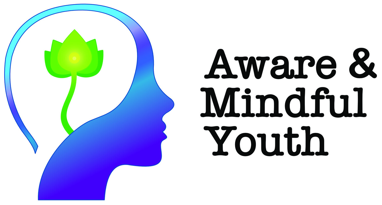 Aware and Mindful Youth
