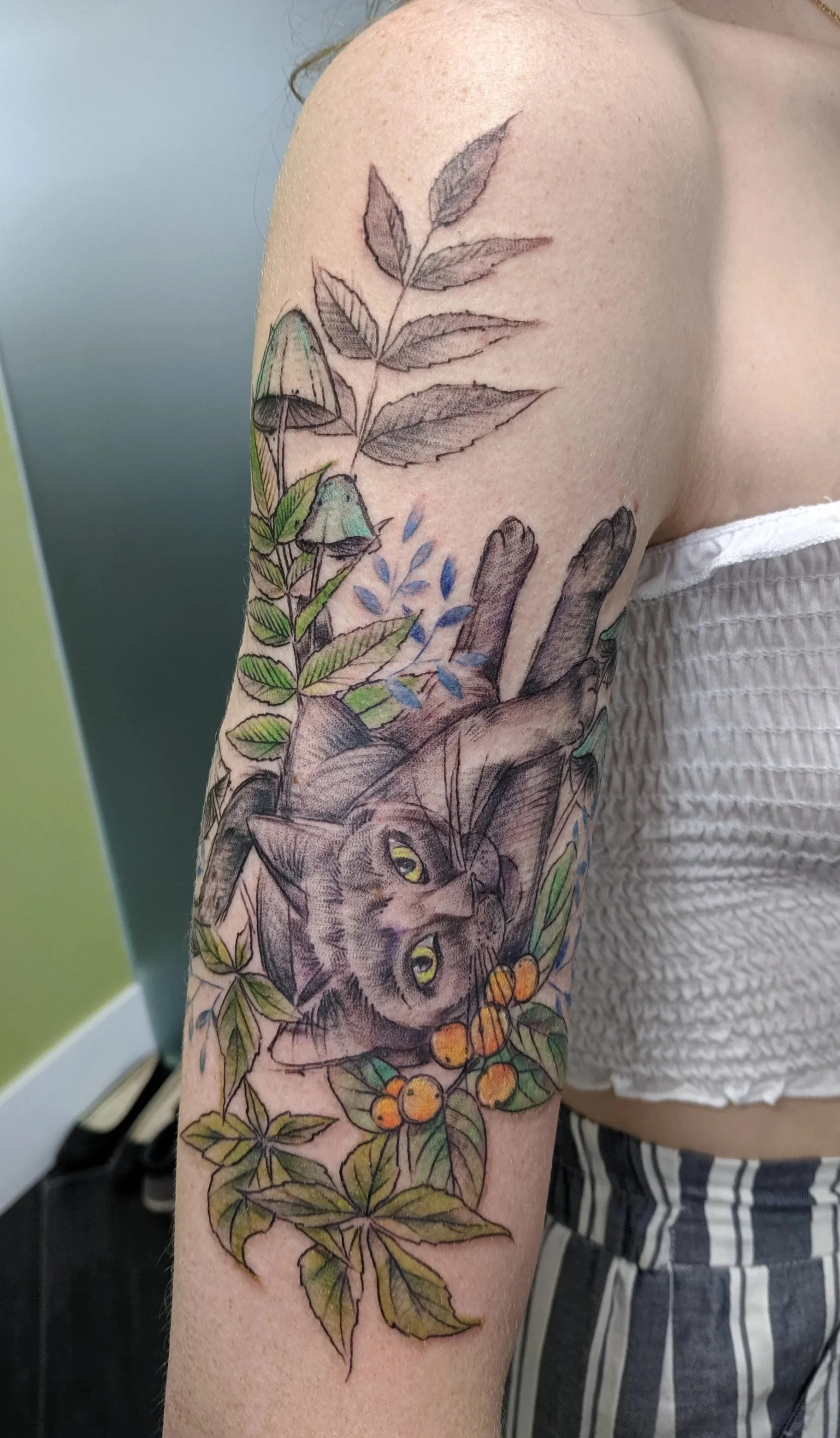 Tattoo of a gray cat lying among green leaves and orange berries on a person's upper arm and shoulder.