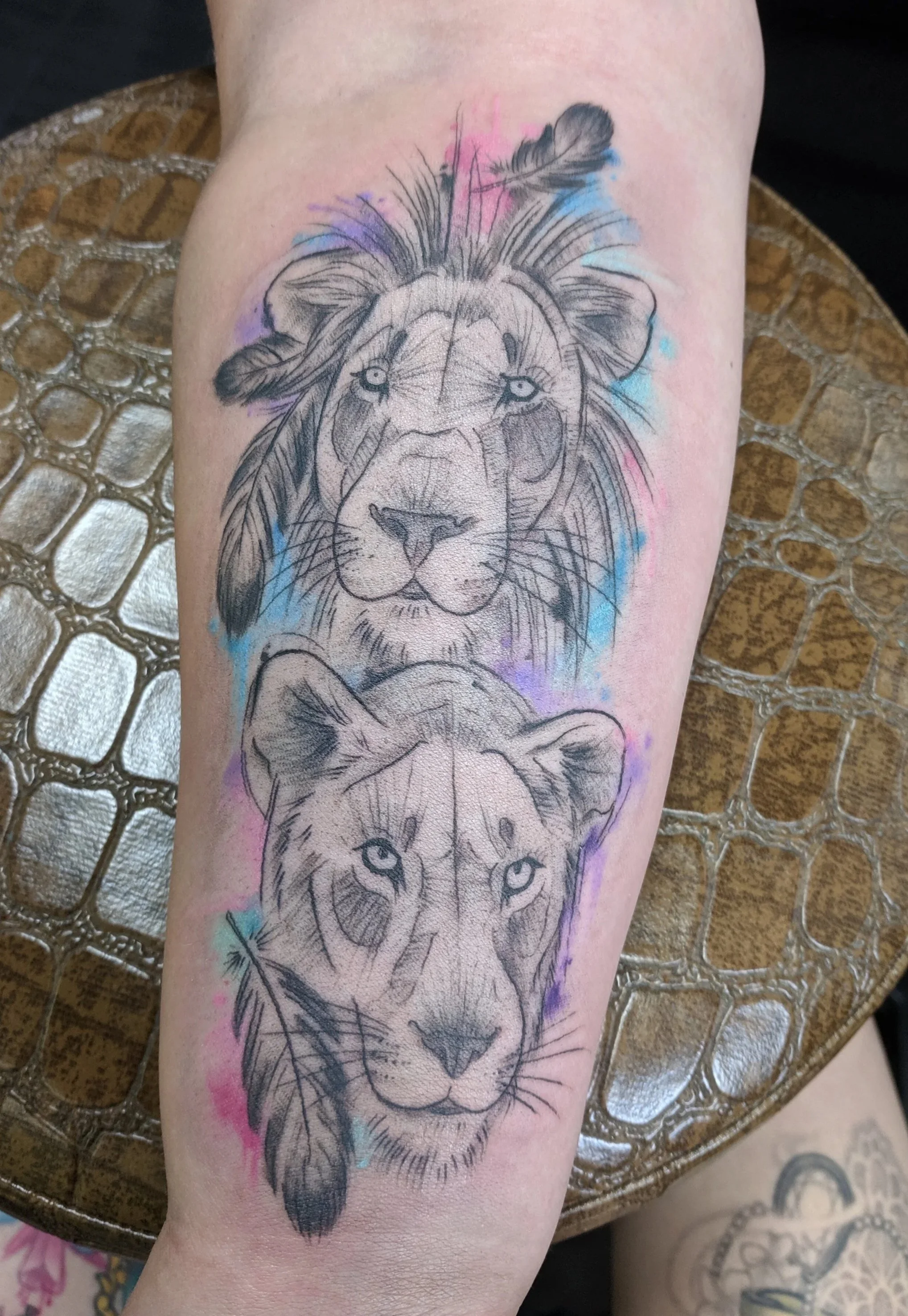 Tattoo of a lion and a lioness on a person's forearm, with colorful watercolor-like background