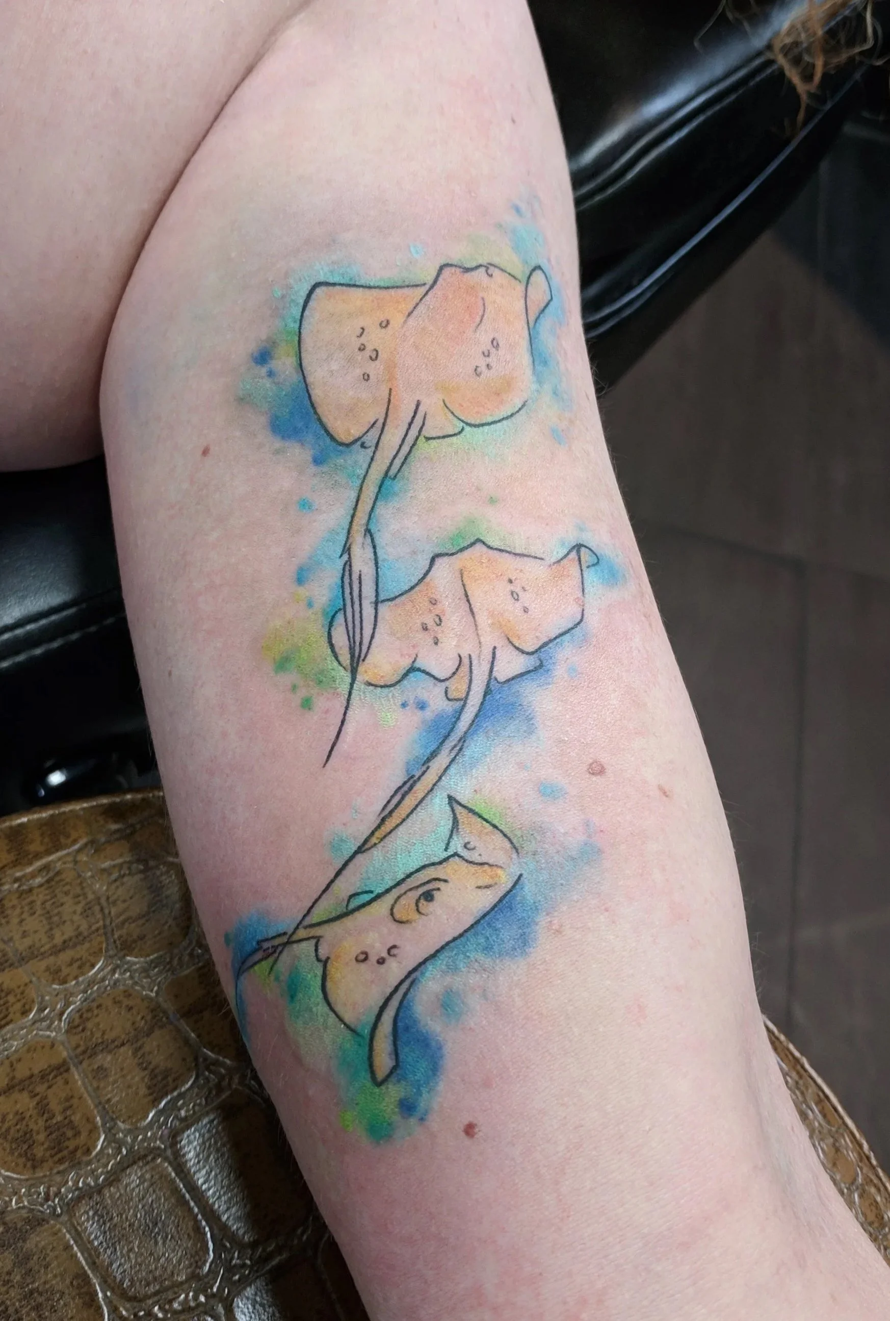 Watercolor-style tattoo of three stingrays with light orange and beige coloring, surrounded by blue and green watercolor splashes on a person's arm.