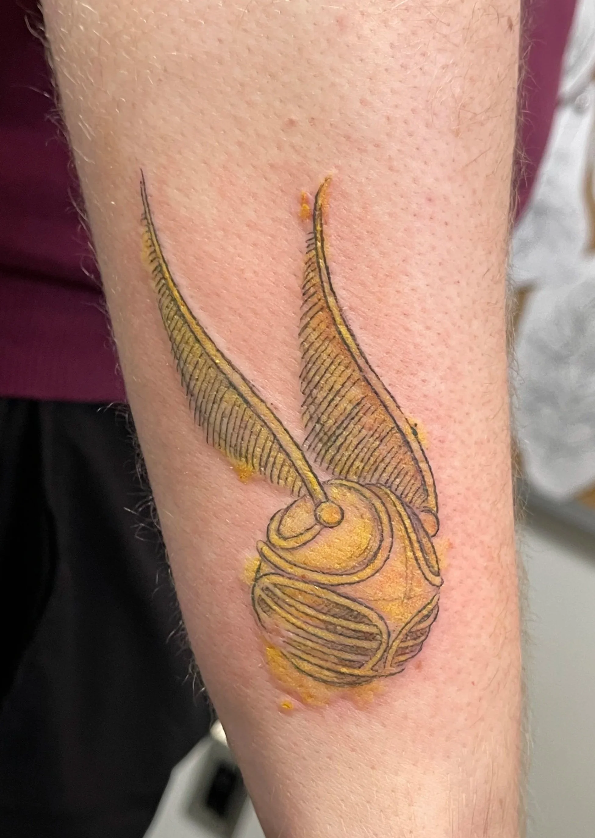 Watercolour Golden Snitch