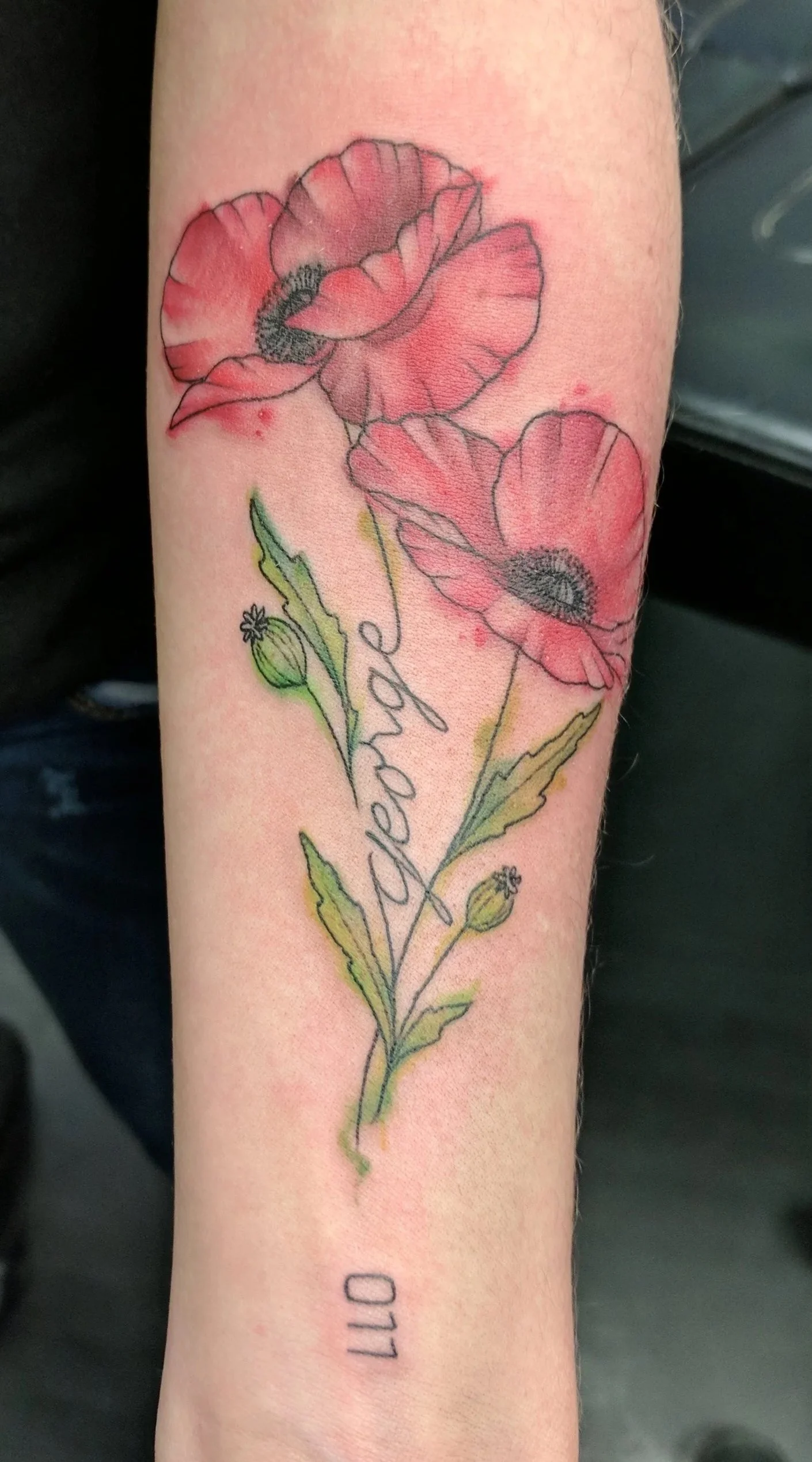 Watercolour poppies
