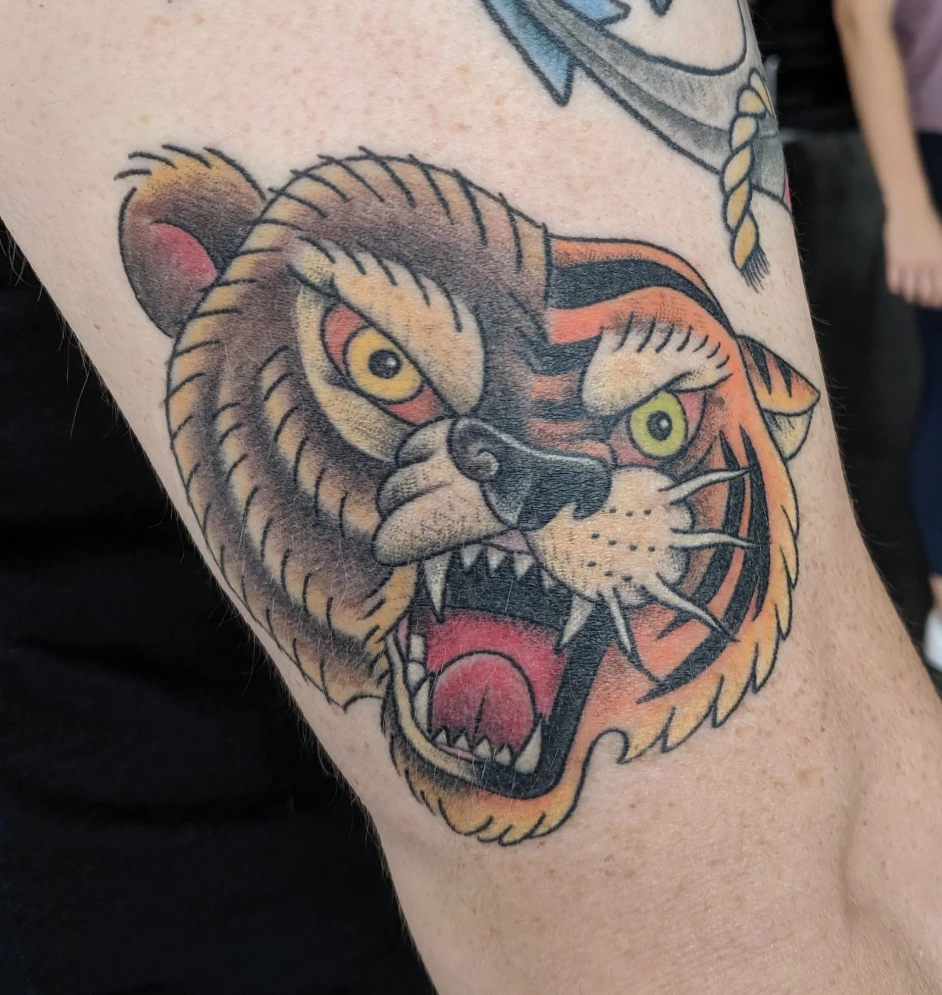 Tattoo of a fierce roaring tiger's head with yellow eyes and sharp teeth on a person's upper arm. Above it, there are tattooed blue and yellow birds and a star with a rope design.