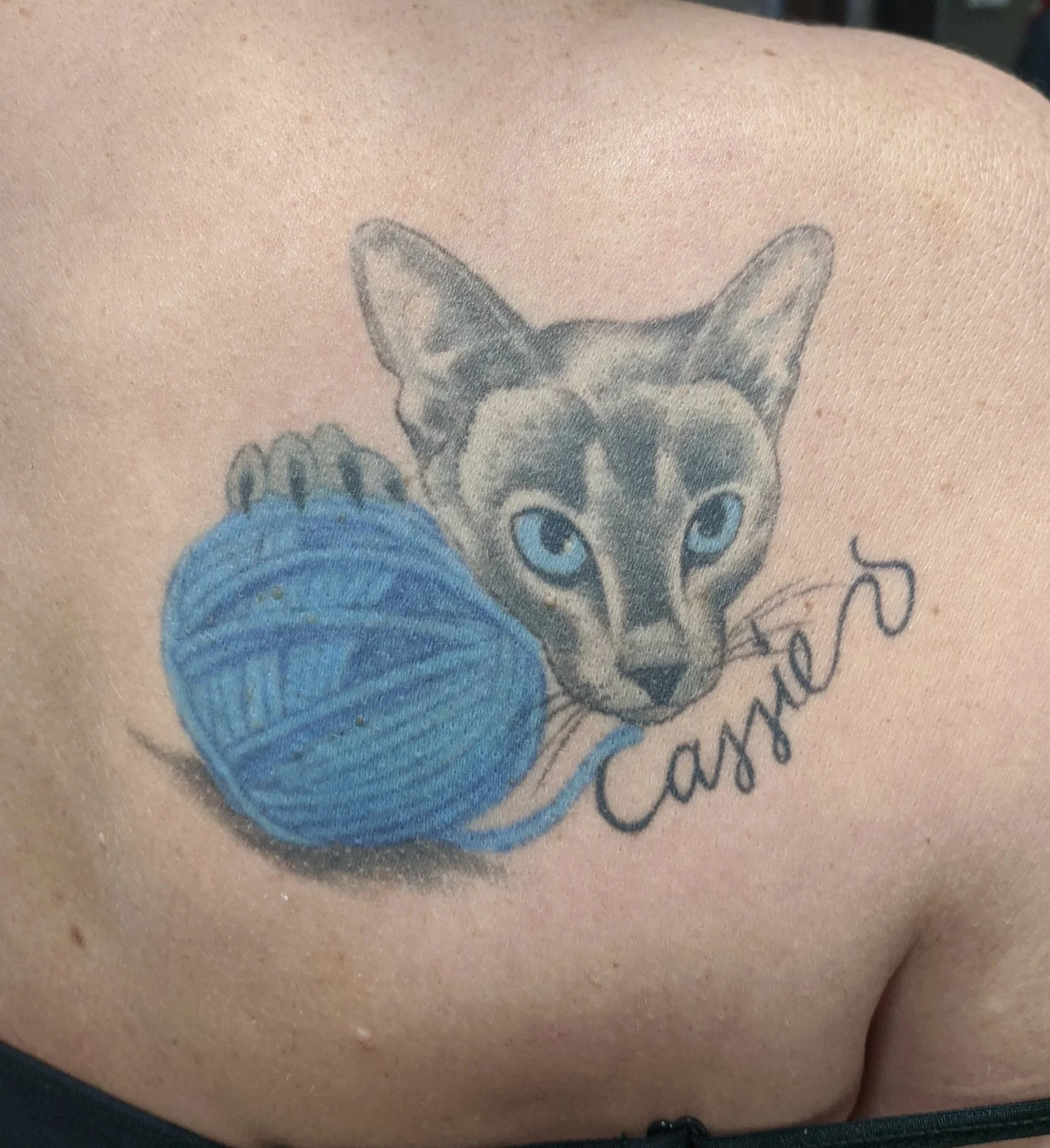Tattoo of a cat with piercing blue eyes chewing on a blue ball of yarn, with the word 'Cats' written in cursive nearby on a person's shoulder.