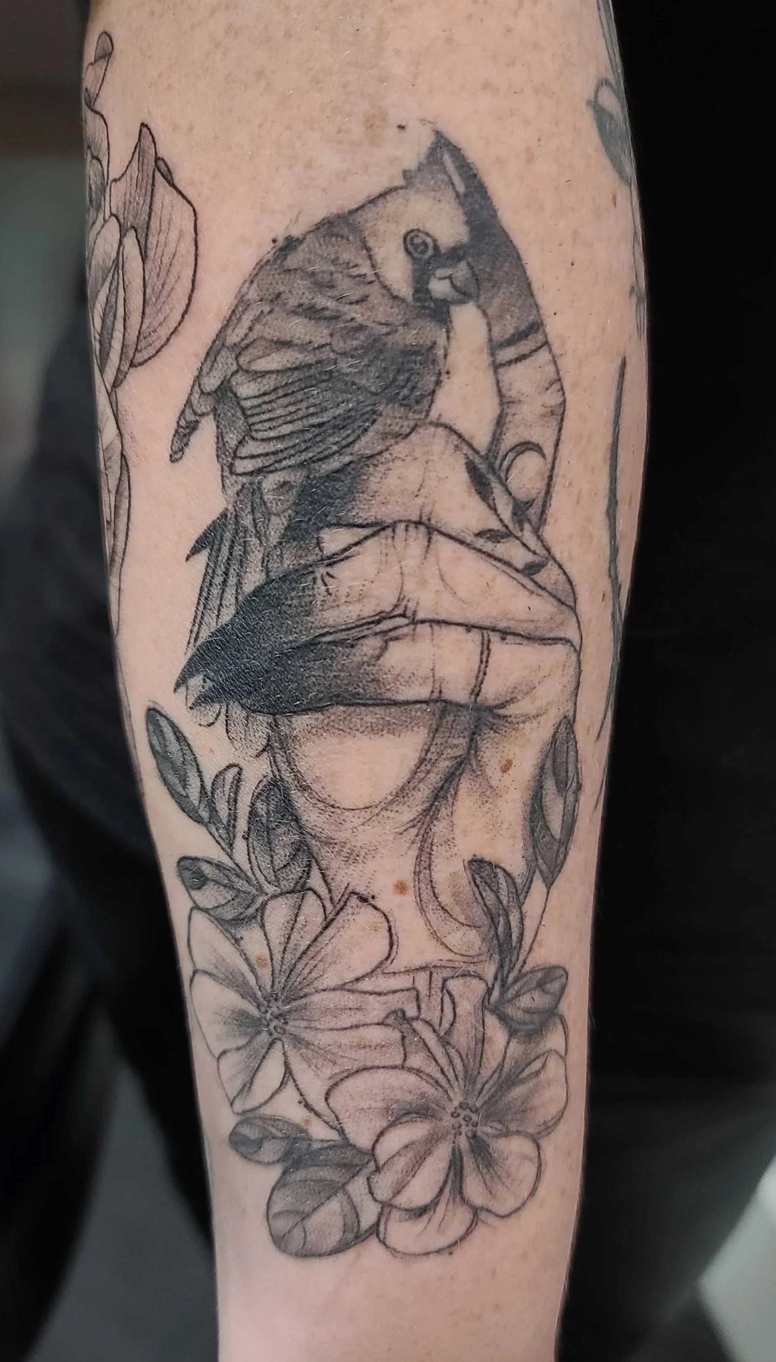Black and gray tattoo of a bird sitting on a woman's arm, surrounded by flowers and leaves.